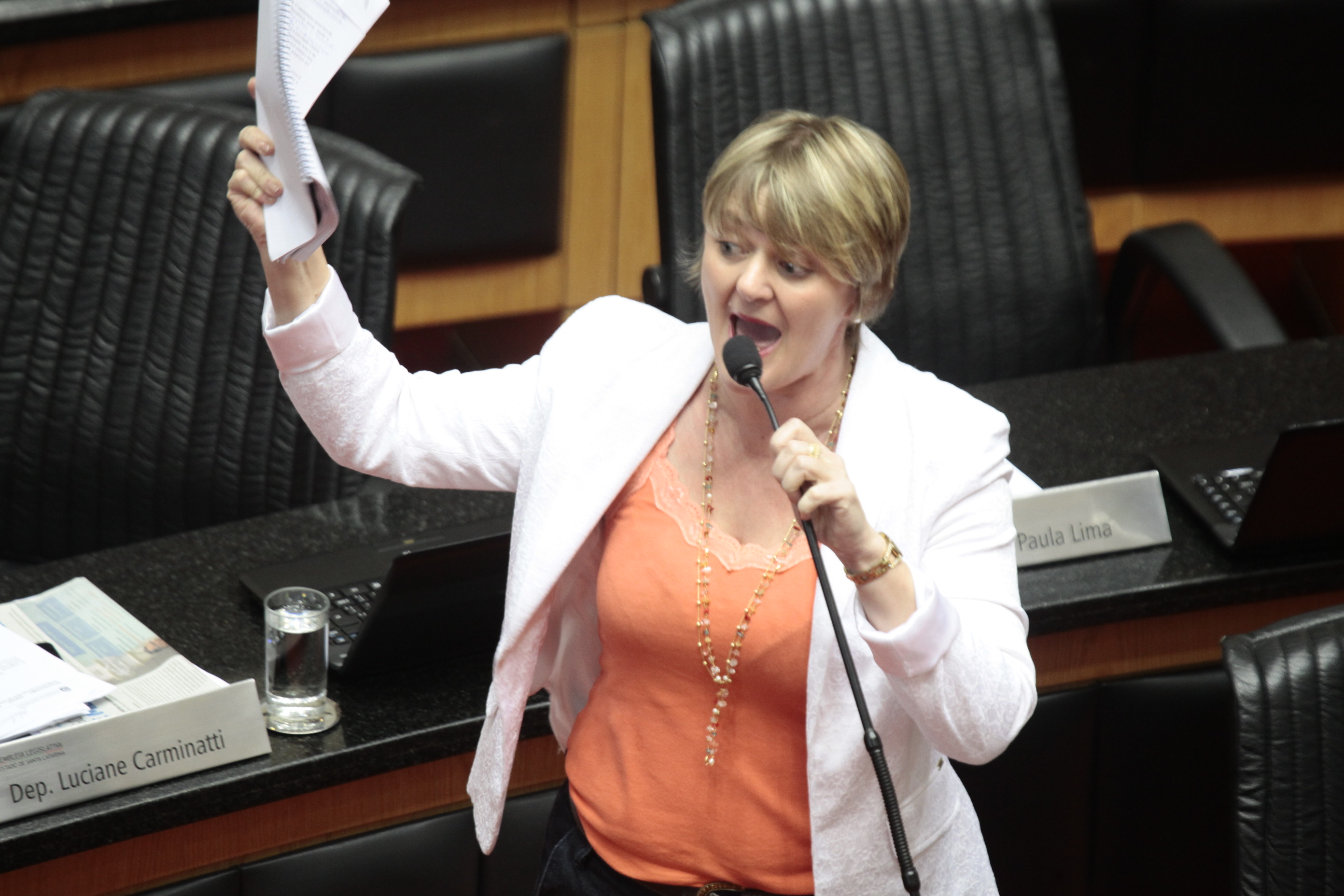 Sessão Ordinária da Assembleia Legislativa do Estado de Santa Catarina. Deputada Luciane Carminatti (PT)  - Foto: Miriam Zomer/Agência AL