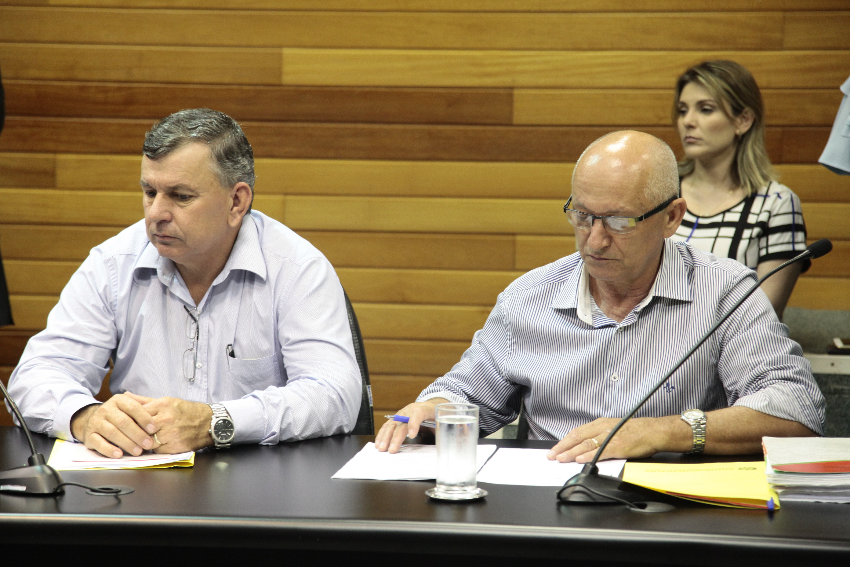 Audiência Pública da Comissão de Agricultura e Política Rural, sobre o Registro e Circulação de Máquinas Agrícolas em Rodovias. Foto: Miriam Zomer/Agência AL