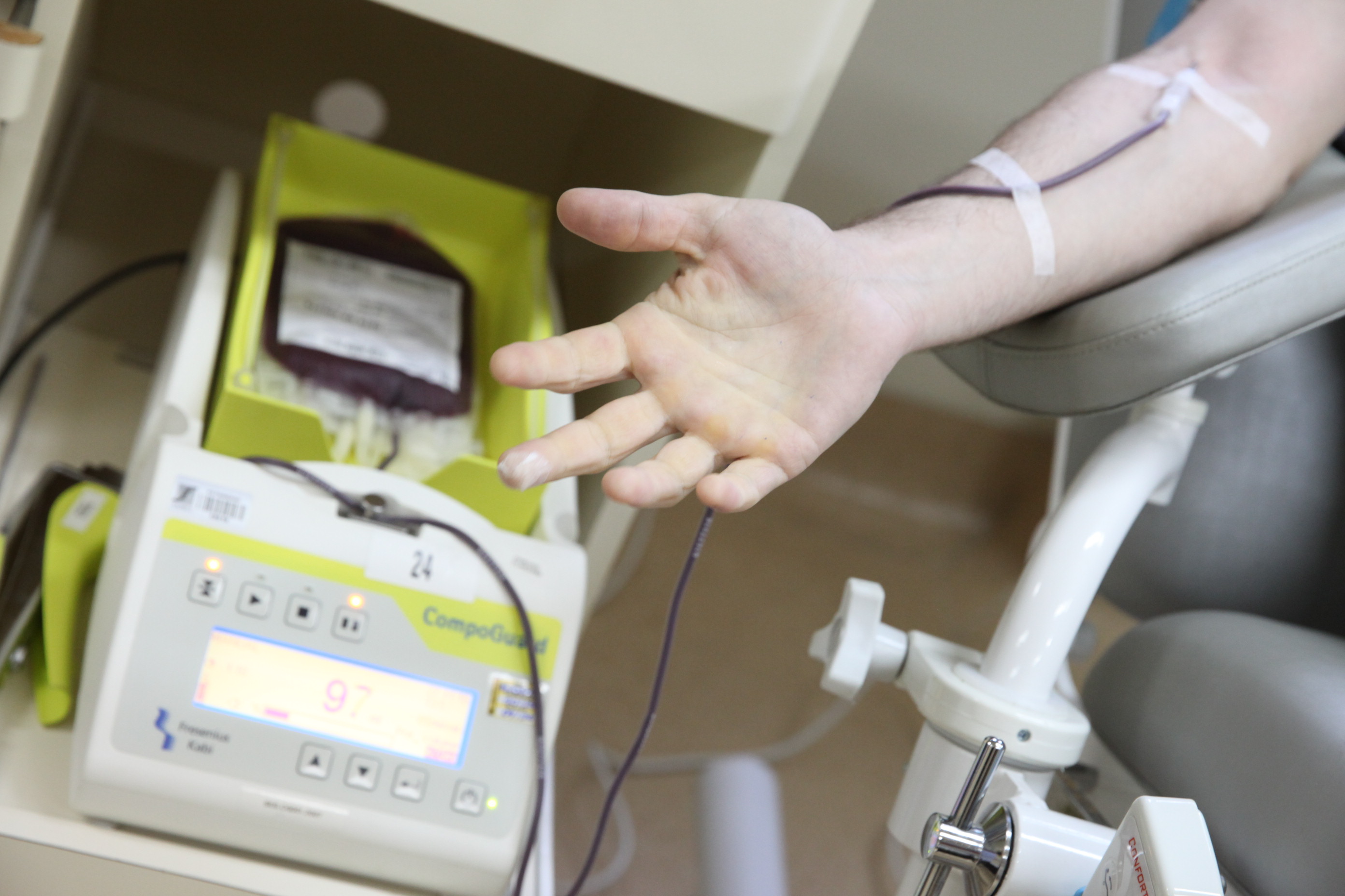 Doação de Sangue. Foto: Fábio Queiroz / Agência AL
