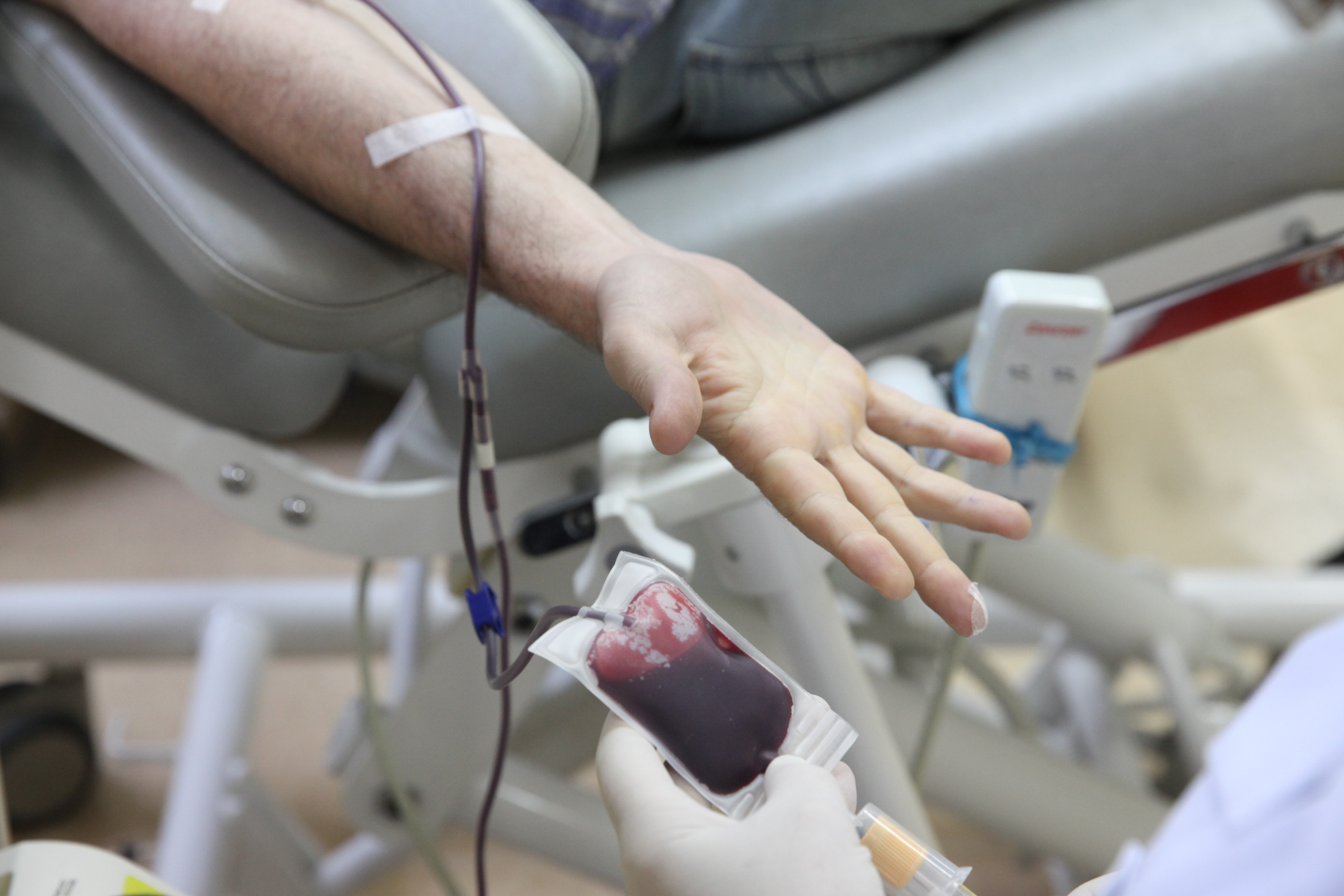 Doação de Sangue. Foto: Fábio Queiroz / Agência AL
