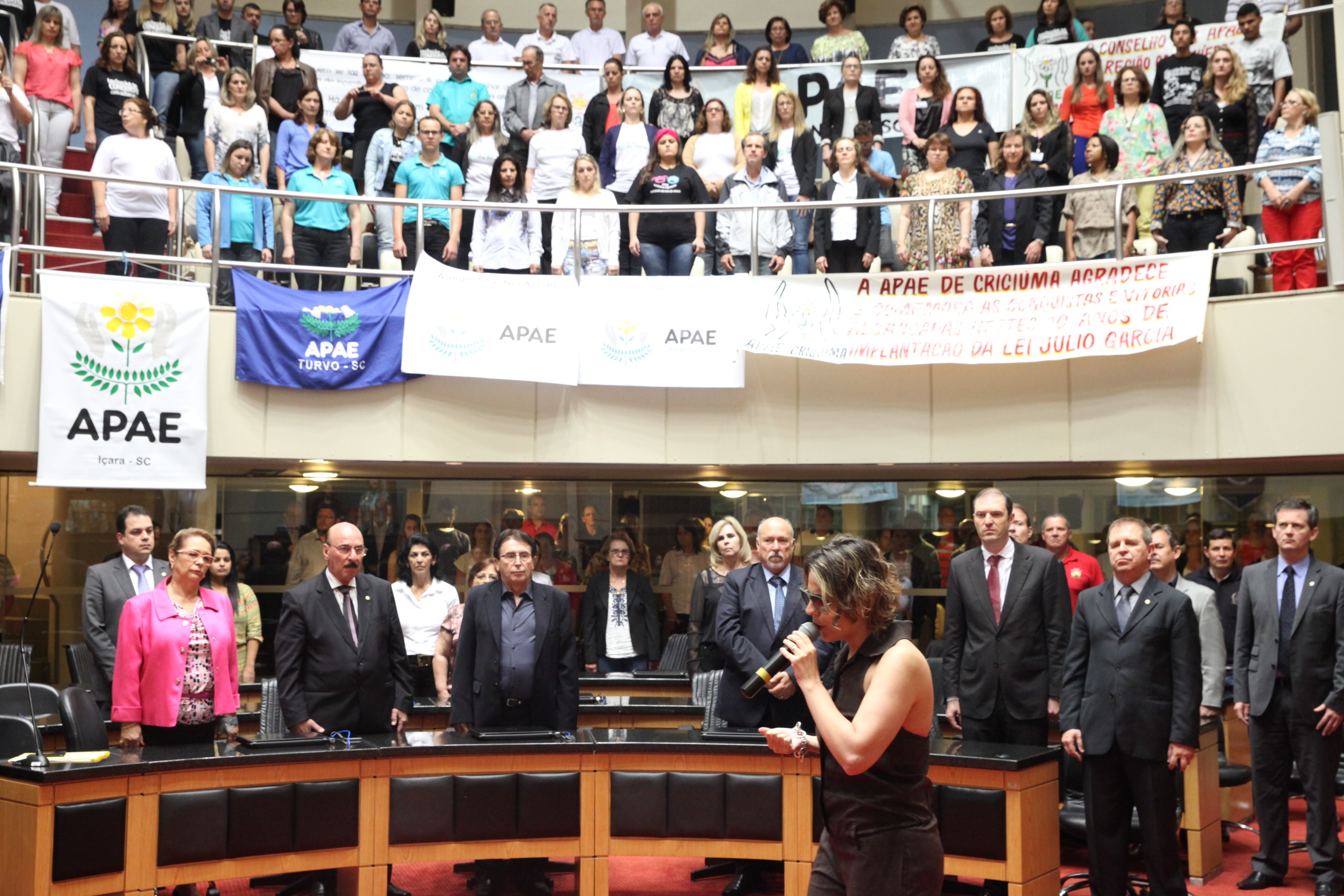 Sessão Especial em homenagem à passagem dos 10 Anos da Lei Júlio Garcia. Foto: Fábio Queiroz / Agência AL