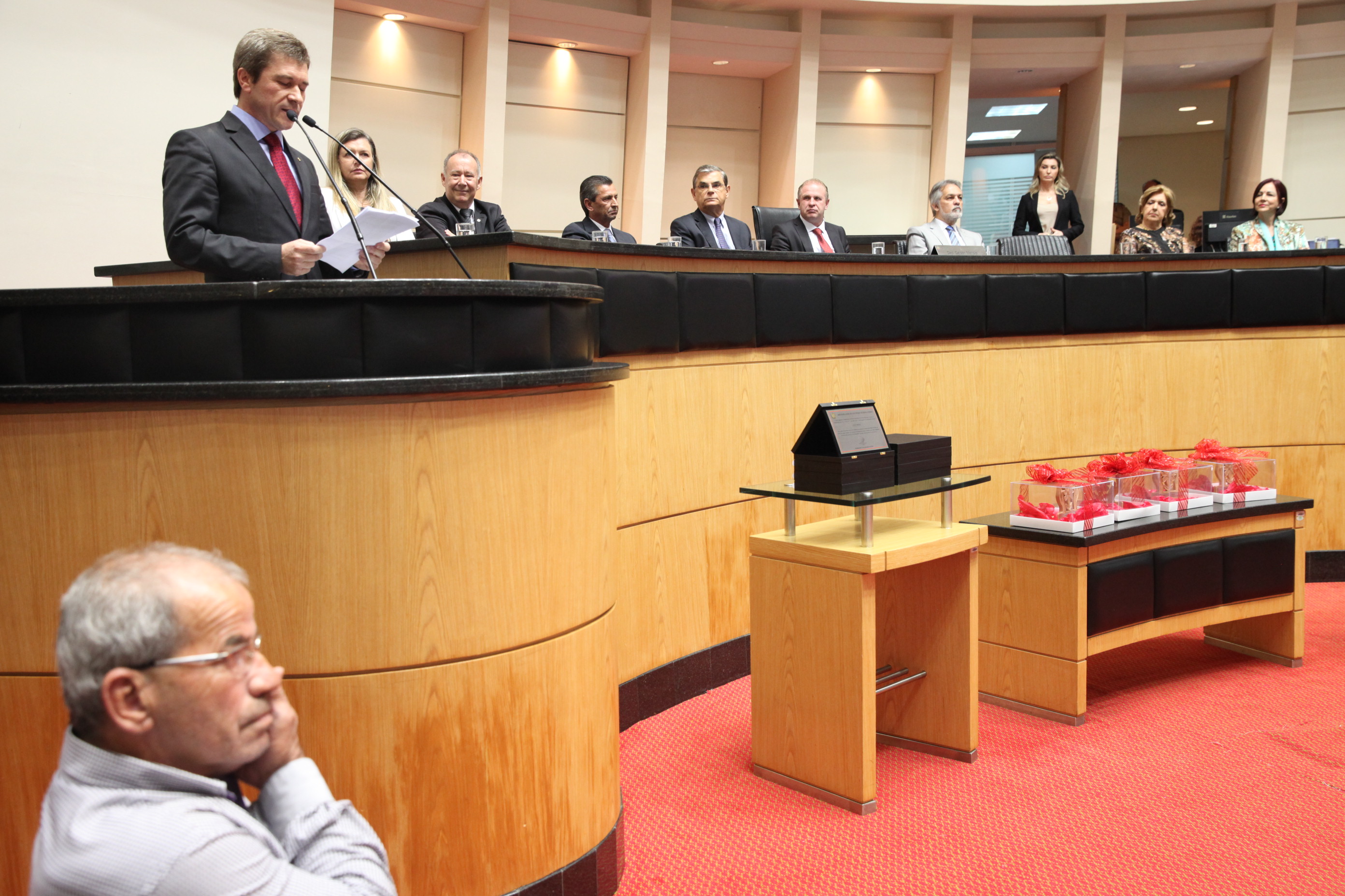 Sessão Especial em homenagem à passagem dos 10 Anos da Lei Júlio Garcia. Foto: Fábio Queiroz / Agência AL
