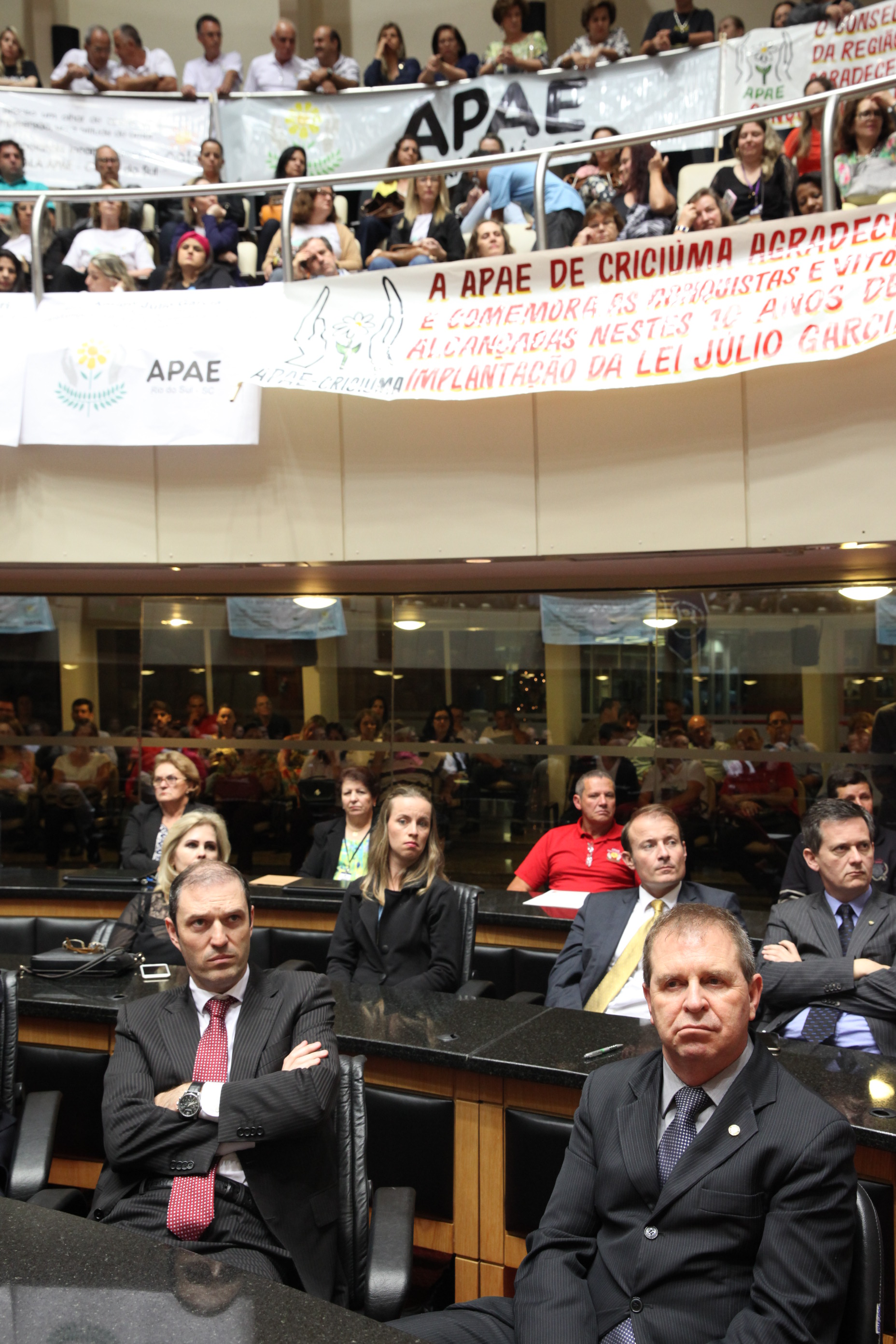 Sessão Especial em homenagem à passagem dos 10 Anos da Lei Júlio Garcia. Foto: Fábio Queiroz / Agência AL