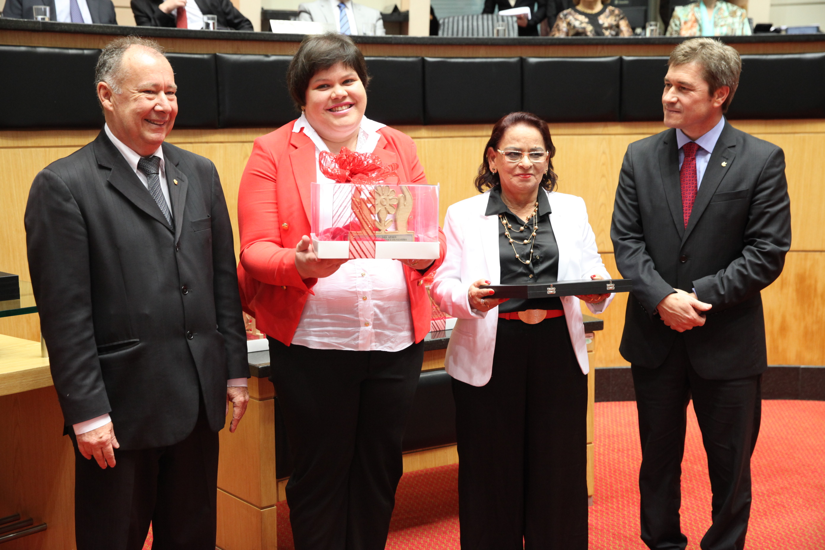 Sessão Especial em homenagem à passagem dos 10 Anos da Lei Júlio Garcia. Foto: Fábio Queiroz / Agência AL