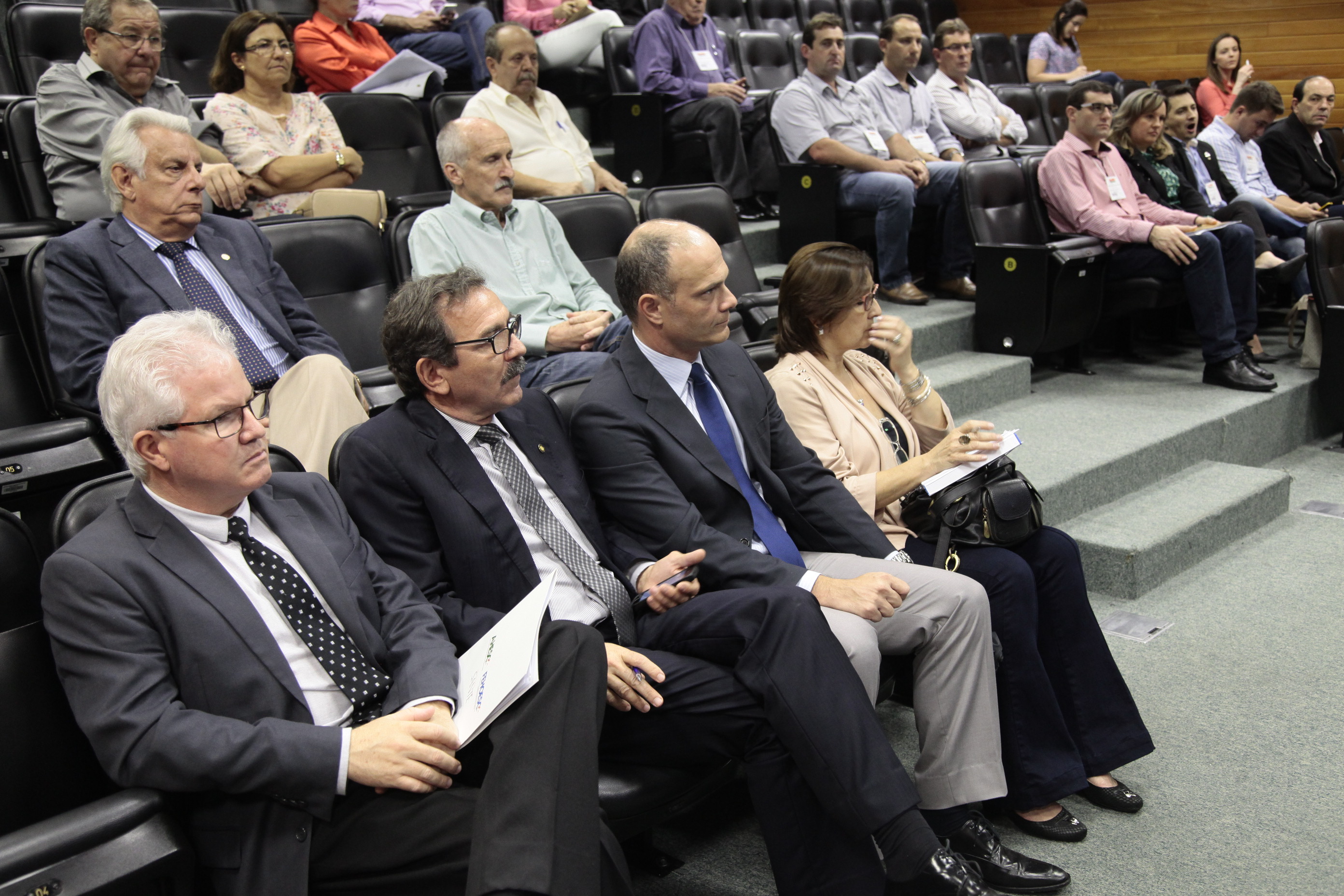 Debate sobre o Financiamento da Saúde Pública - PEC 01/2015. Foto: Miriam Zomer/Agência AL