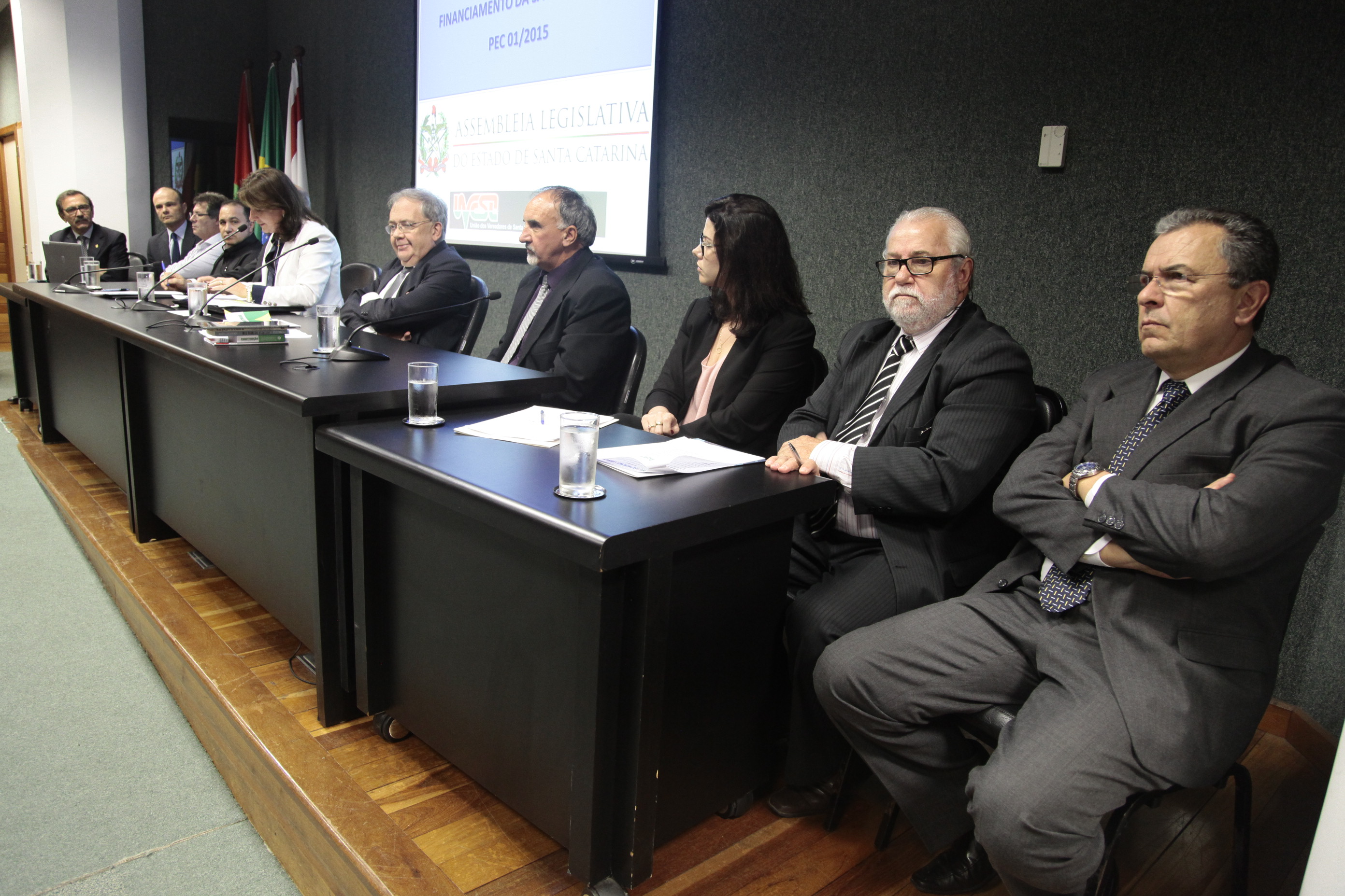 Debate sobre o Financiamento da Saúde Pública - PEC 01/2015. Foto: Miriam Zomer/Agência AL
