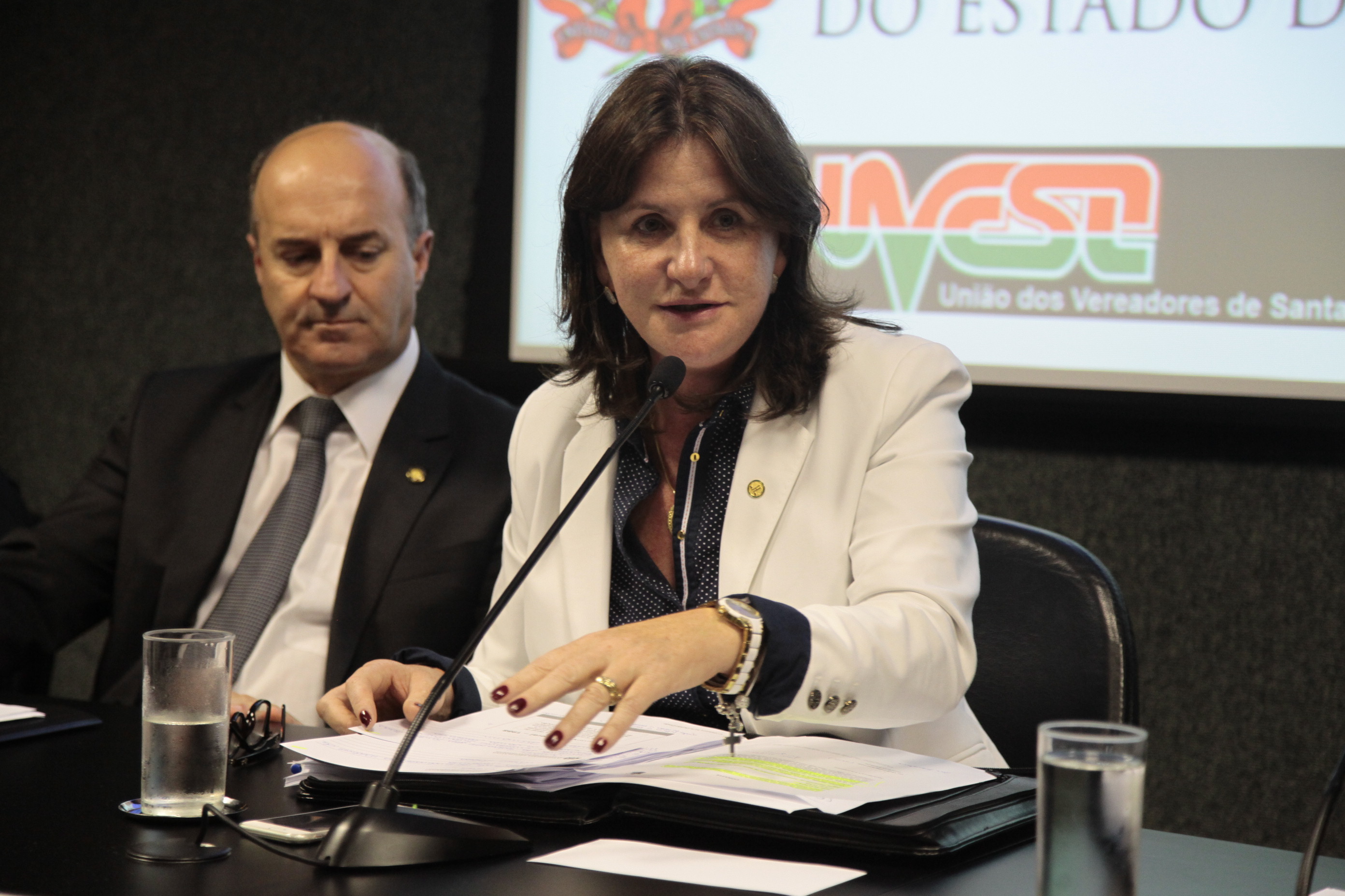 Debate sobre o Financiamento da Saúde Pública - PEC 01/2015. Foto: Miriam Zomer/Agência AL