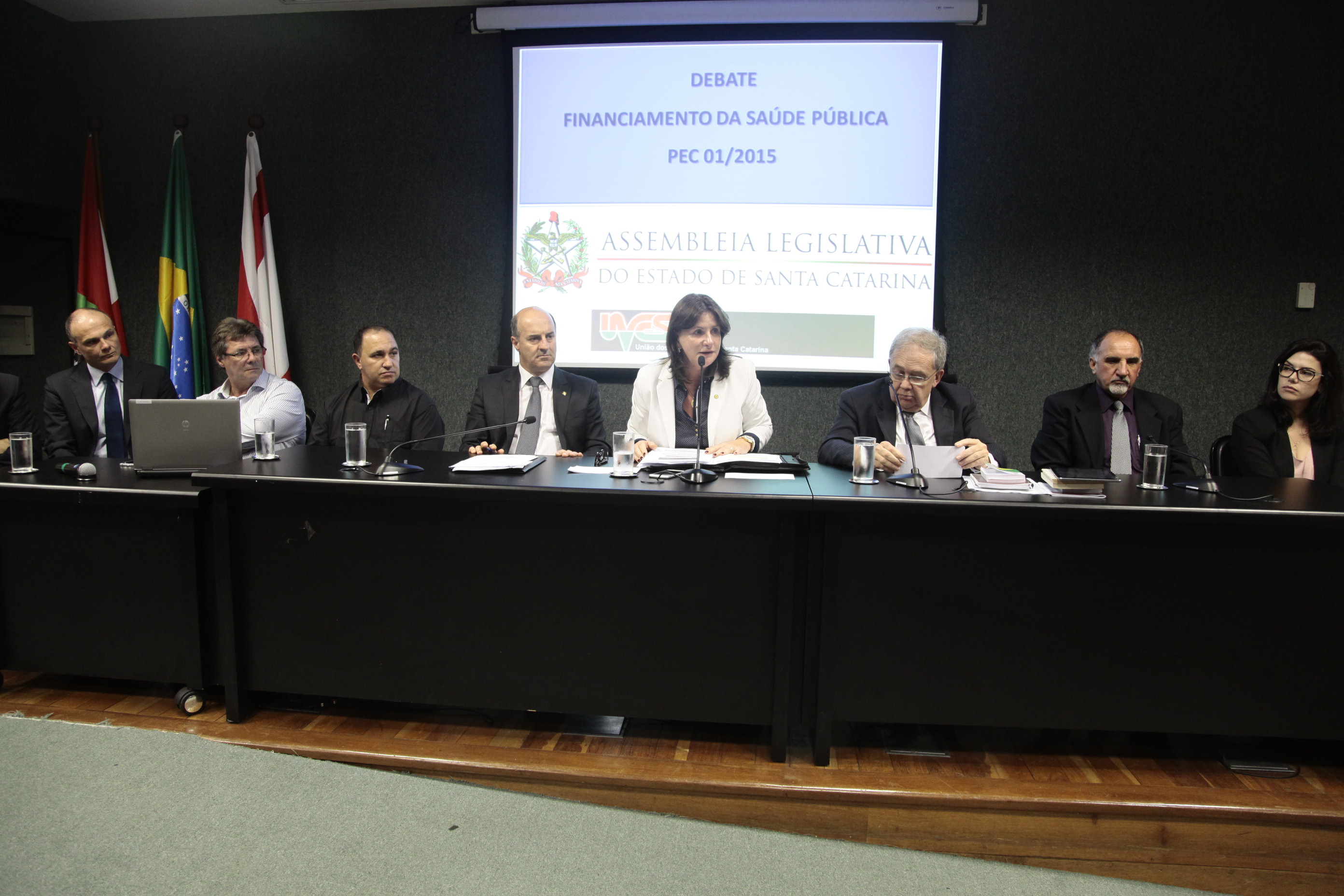 Debate sobre o Financiamento da Saúde Pública - PEC 01/2015. Foto: Miriam Zomer/Agência AL