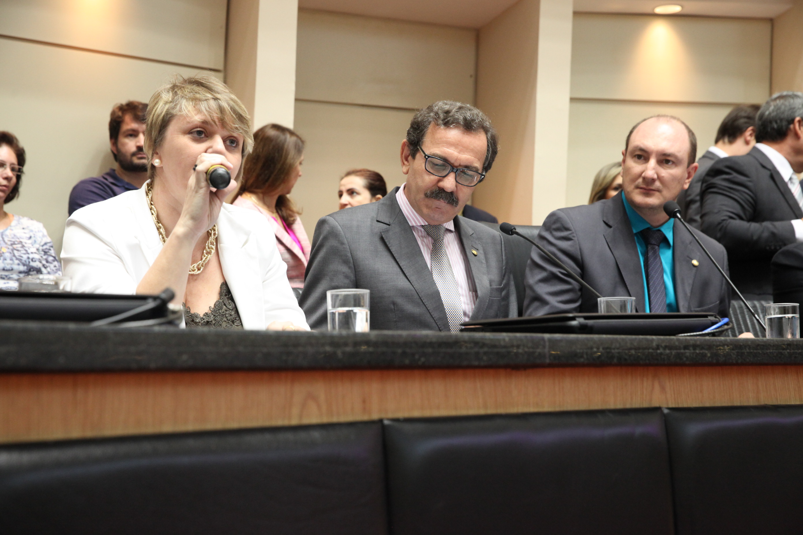 Reunião Conjunta das Comissões de Constituição e Justiça, de Trabalho e de Finanças. Foto: Fábio Queiroz / Agência AL
