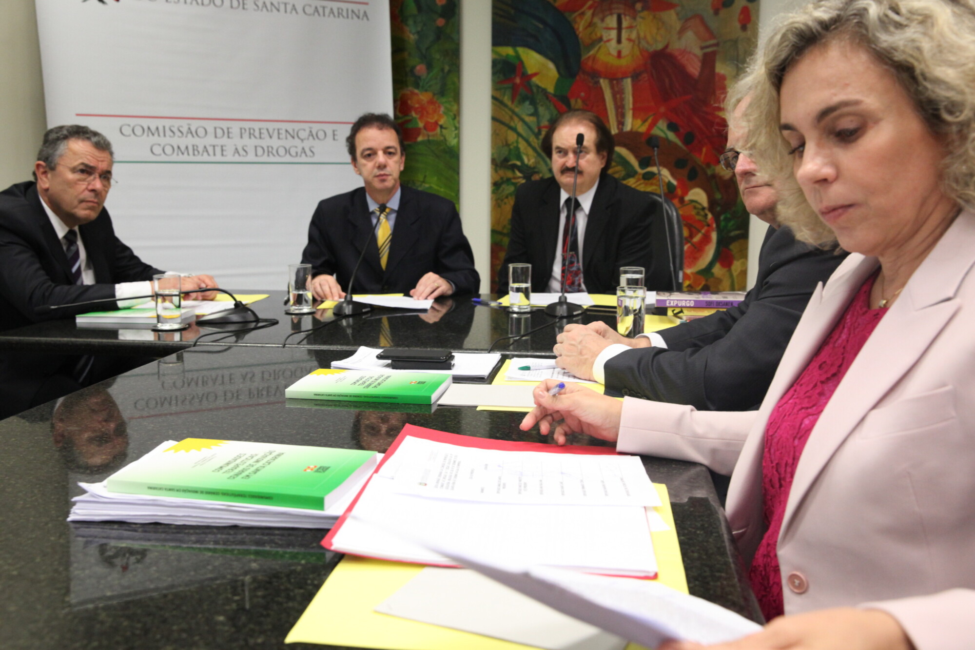 Colegiado fez balanço das atividades de 2015 e projeções para o ano que vem