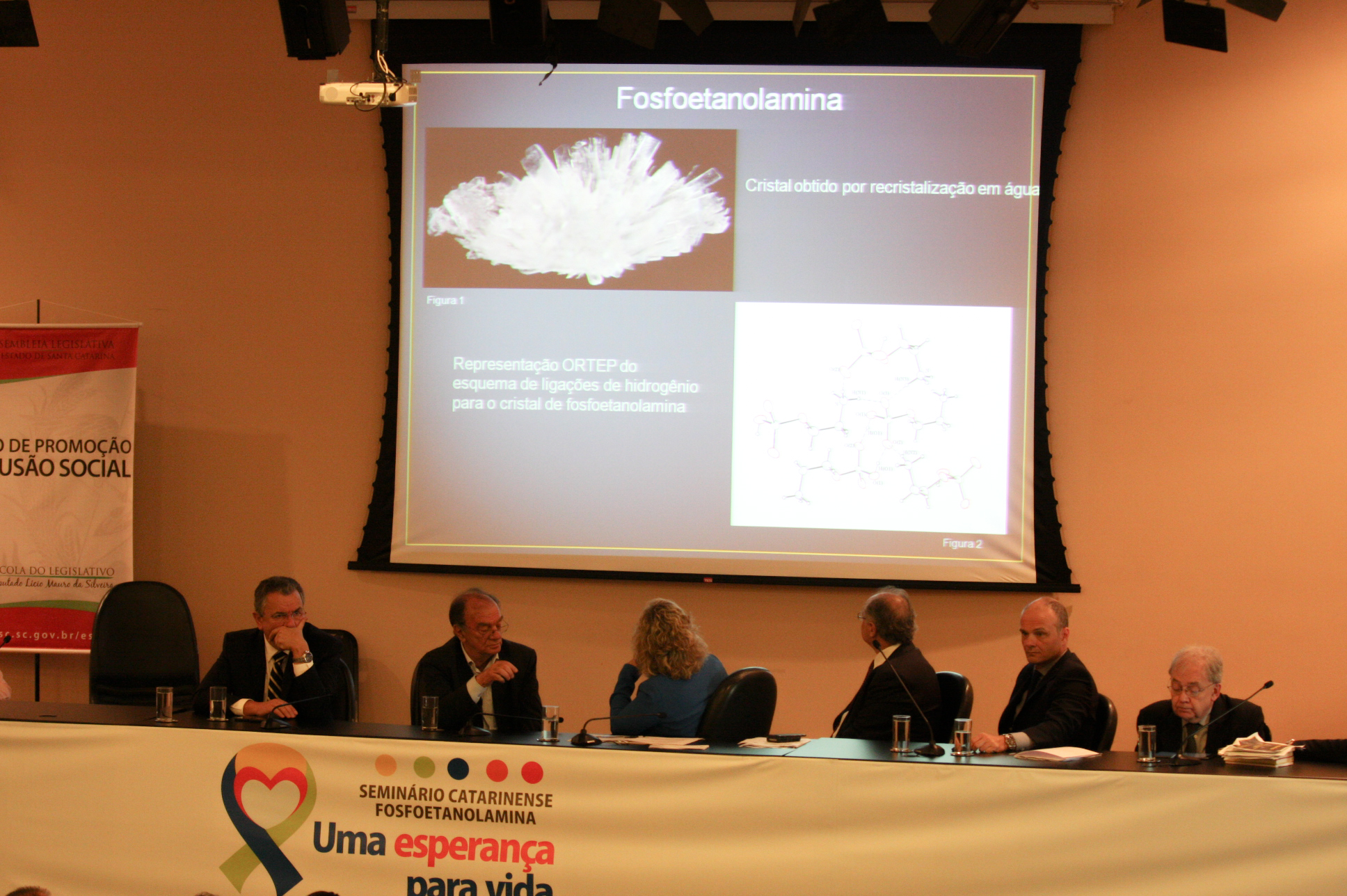 Comissão de Saúde promove seminário sobre a fosfoetanolamina. Foto: Yuri Santos / Agência AL