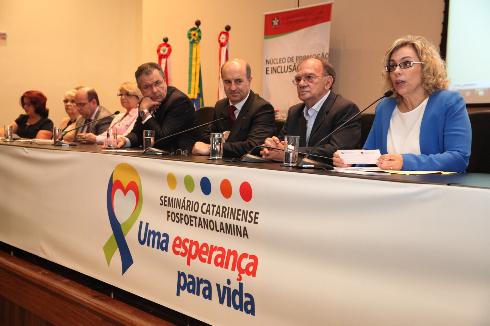 Deputada Ana Paula Lima, presidente da Comissão de Saúde