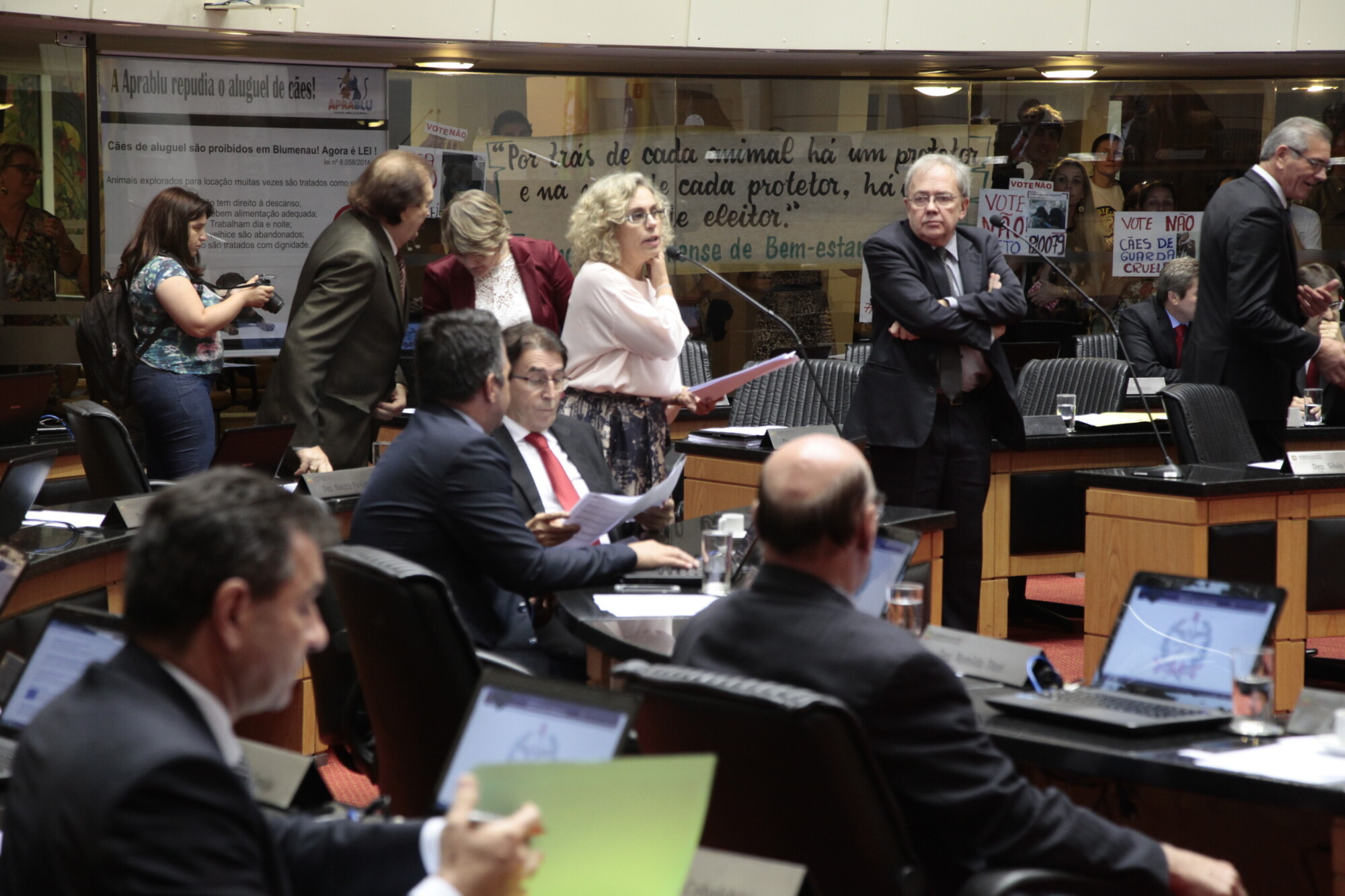 Deputados derrubam veto e proíbem aluguel de cães para vigilância em SC