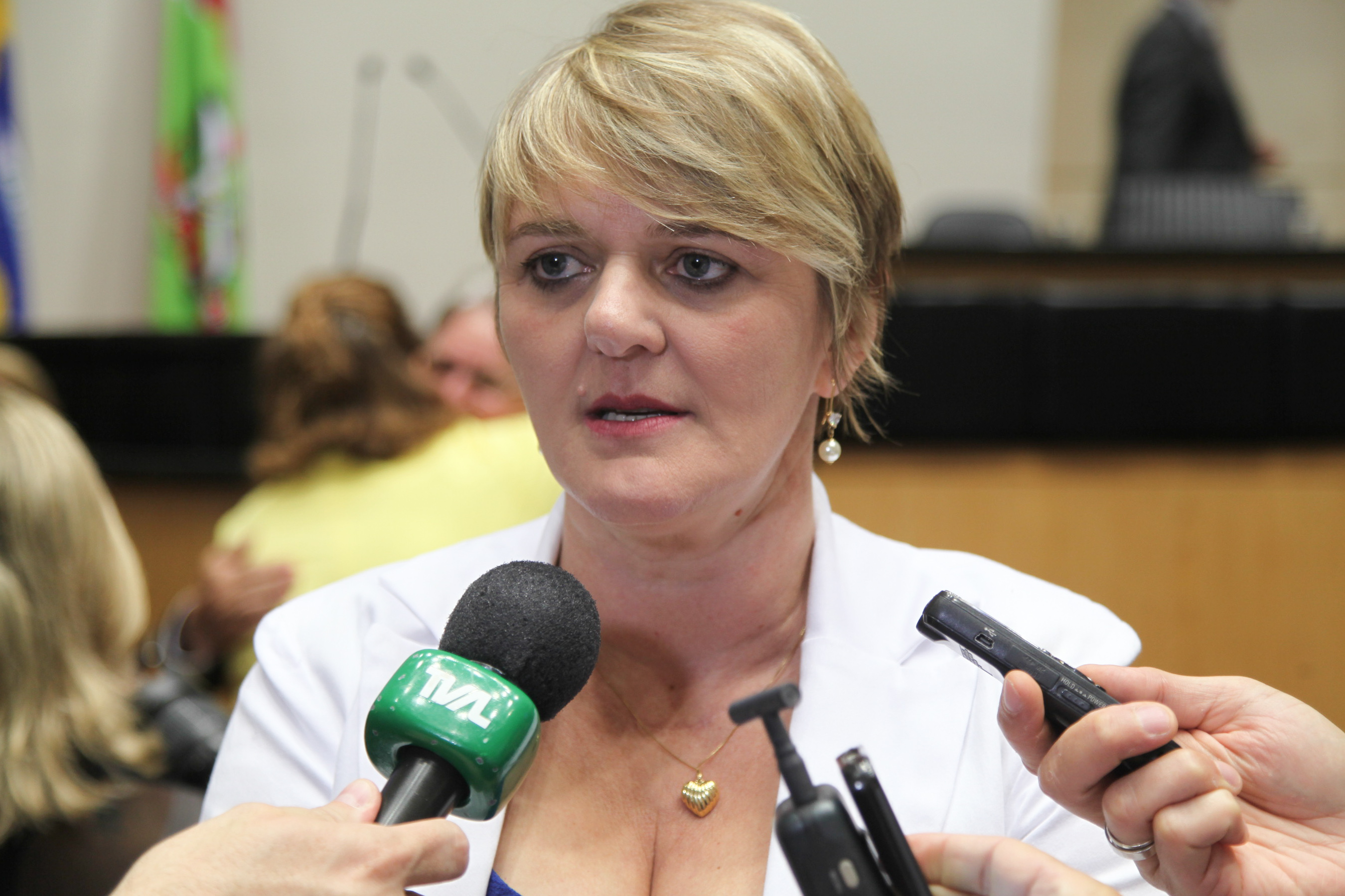Abertura dos Trabalhos da Segunda Sessão Legislativa da 18ª Legislatura. Deputada Luciane Carminatti (PT)