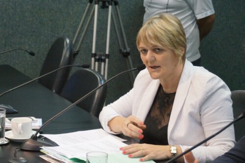 Luciane Carminatti cobra descongelamento de salários dos professores
