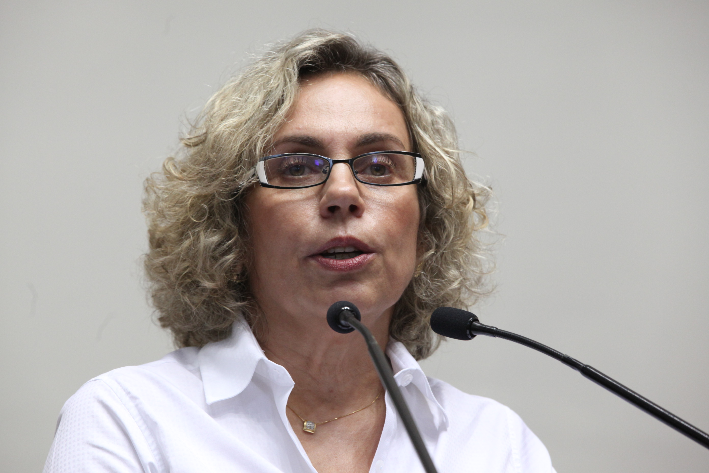 Sessão Ordinária da Assembleia Legislativa do Estado de Santa Catarina. Deputada Ana Paula Lima (PT)