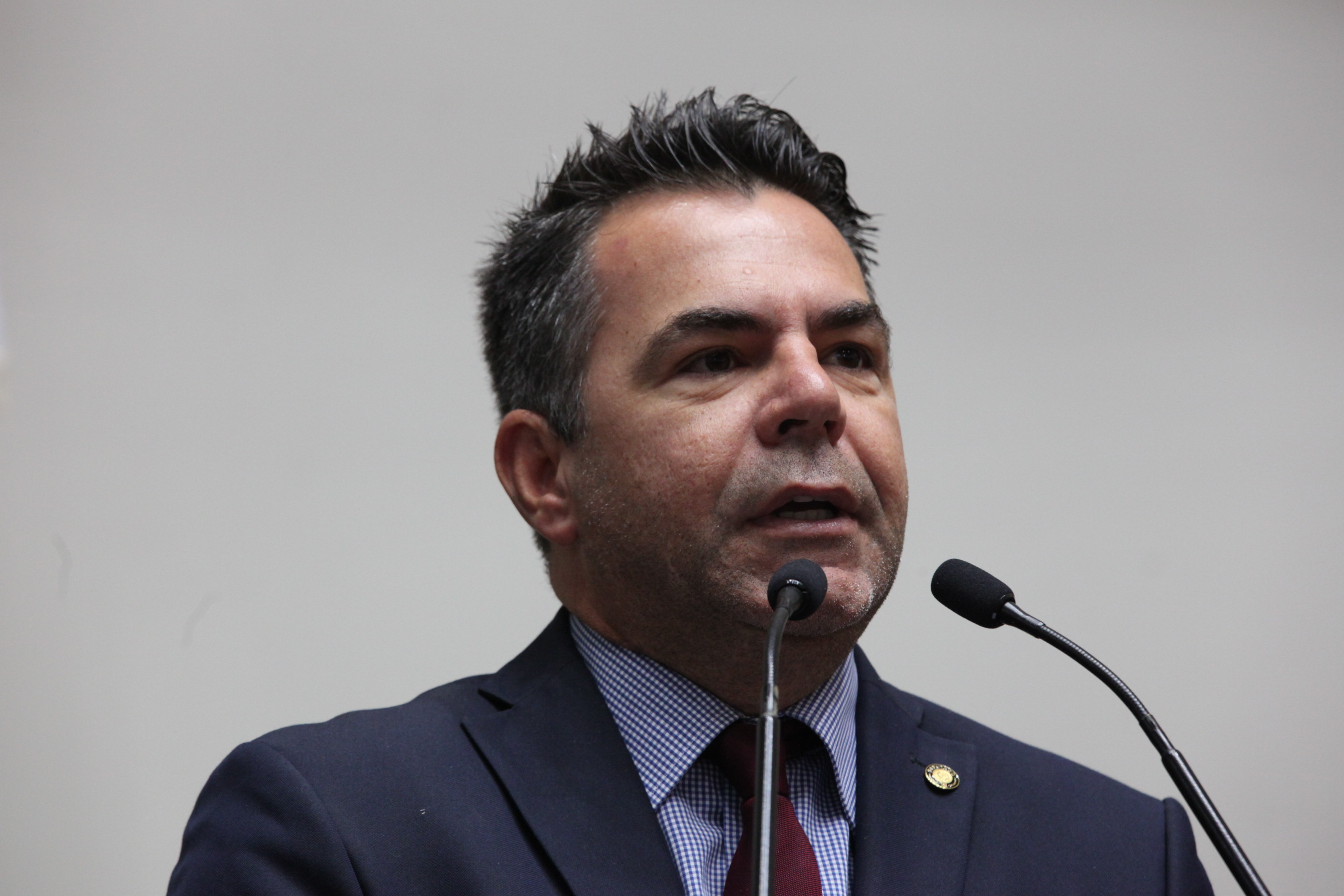 Sessão Ordinária. Deputado Luiz Fernando Vampiro (PMDB)