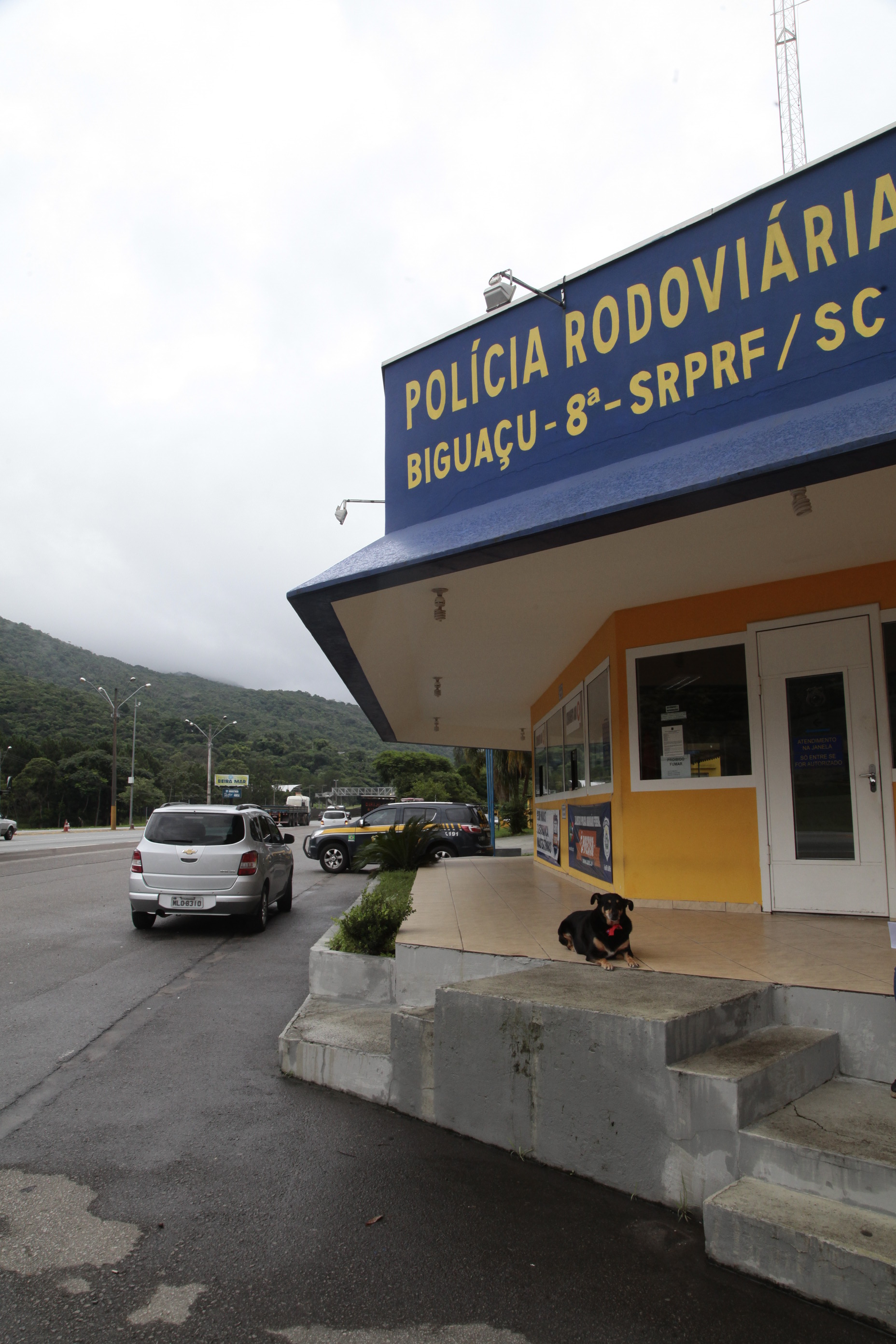 Operação Carnaval - PRF.