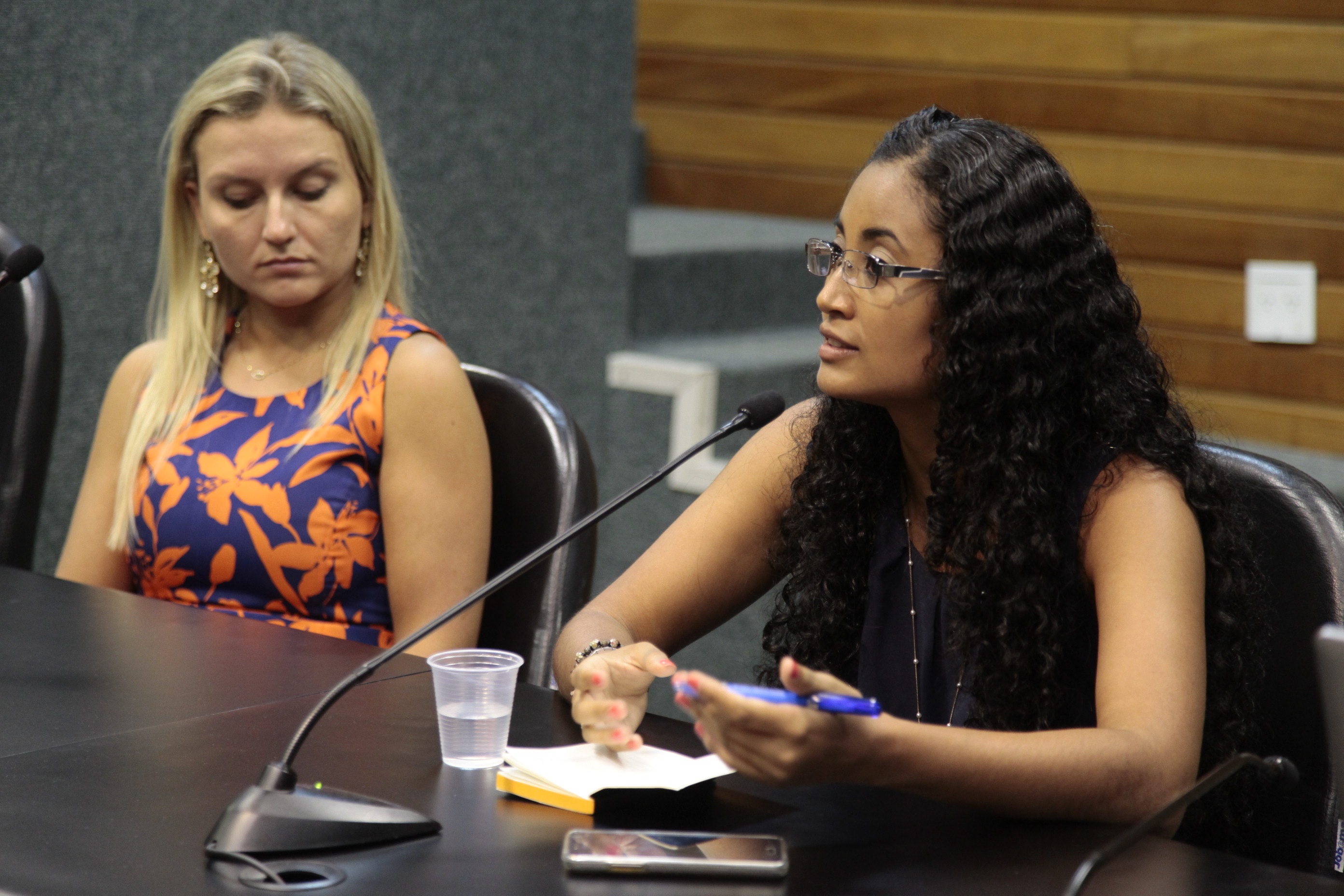 Reunião do Grupo de Trabalho dos Imigrantes organizado pela Comissão dos Direitos Humanos.