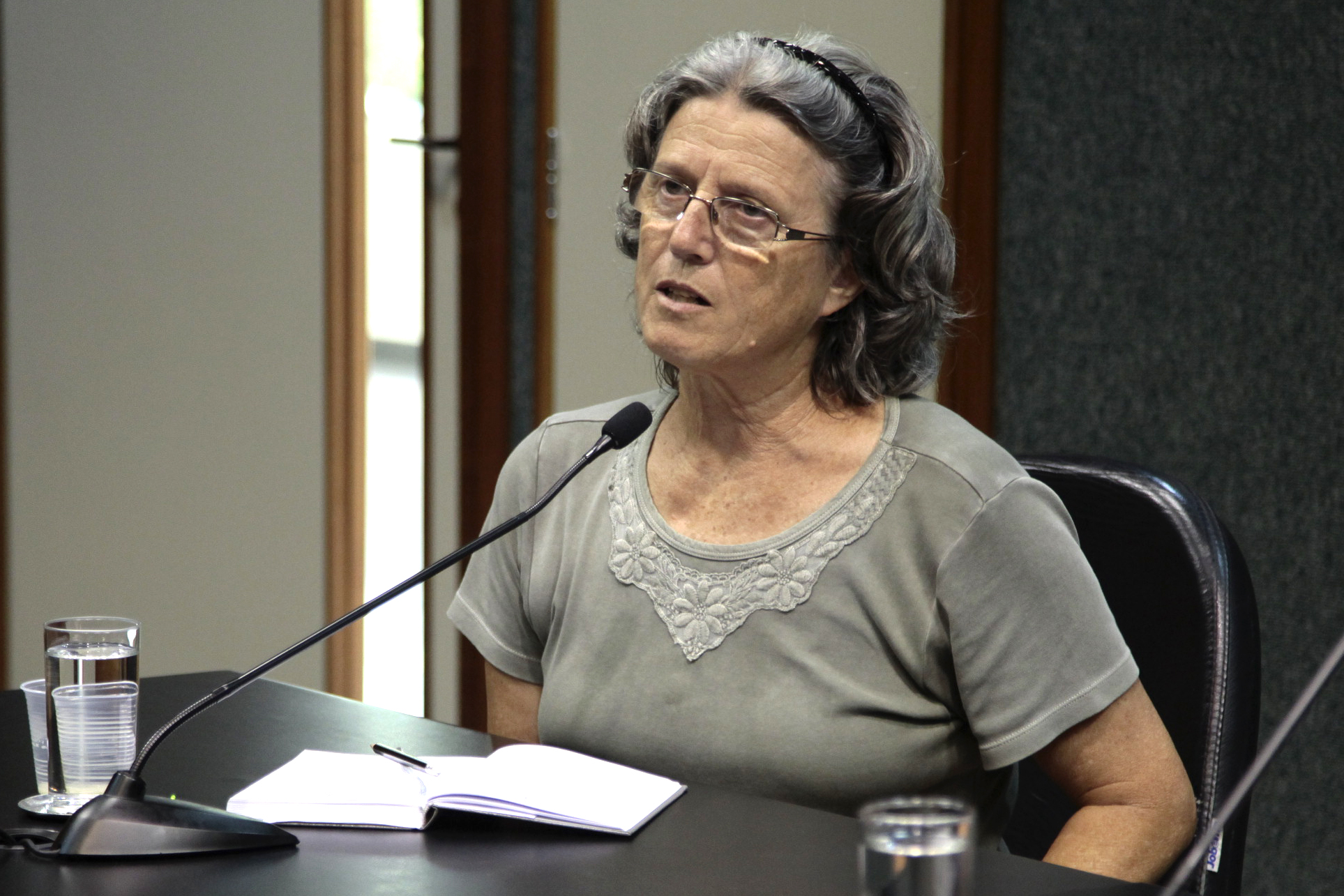 Reunião do Grupo de Trabalho dos Imigrantes organizado pela Comissão dos Direitos Humanos. Ivone Maria Perassa.