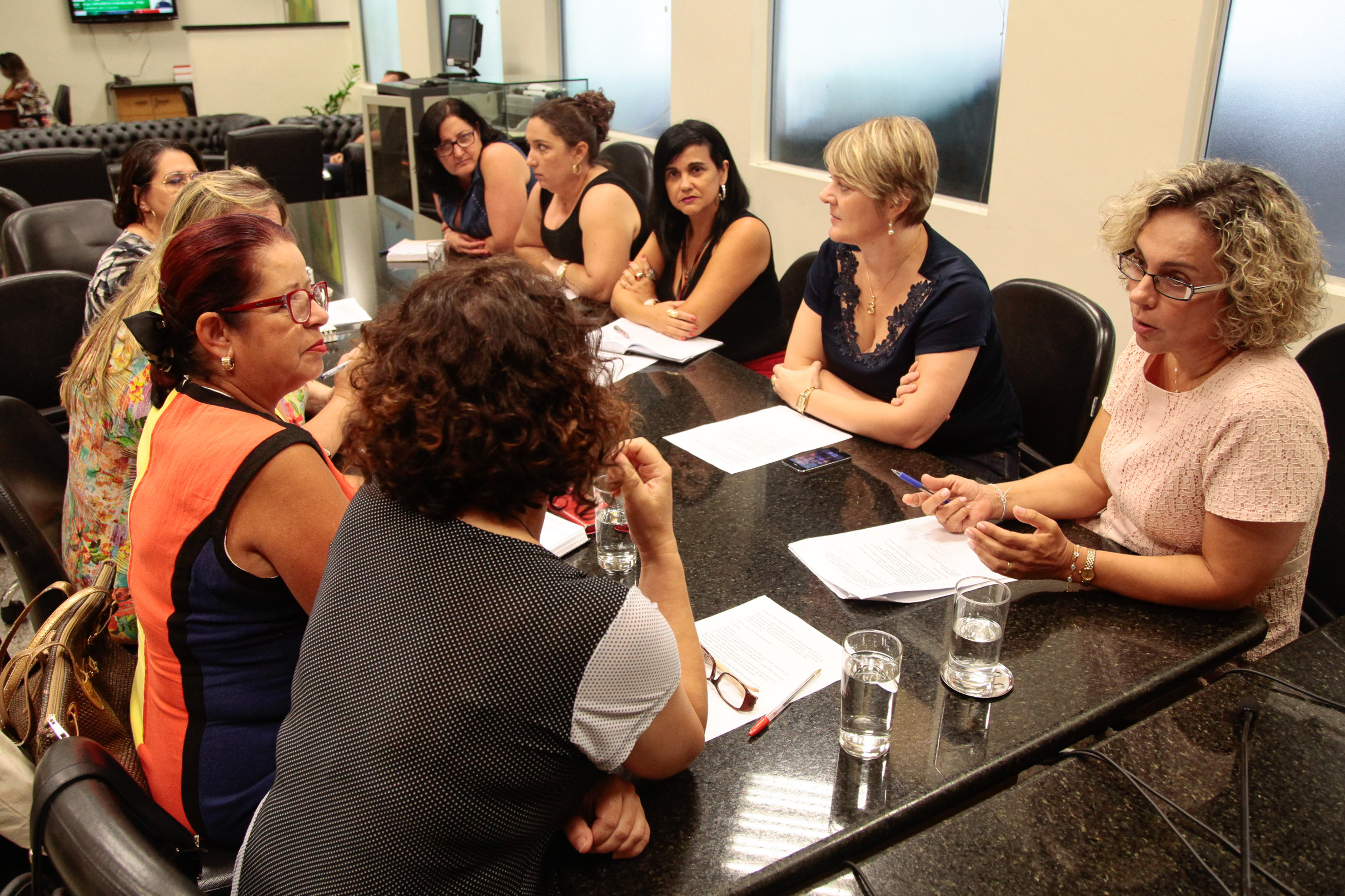 Reunião da Bancada Feminina.