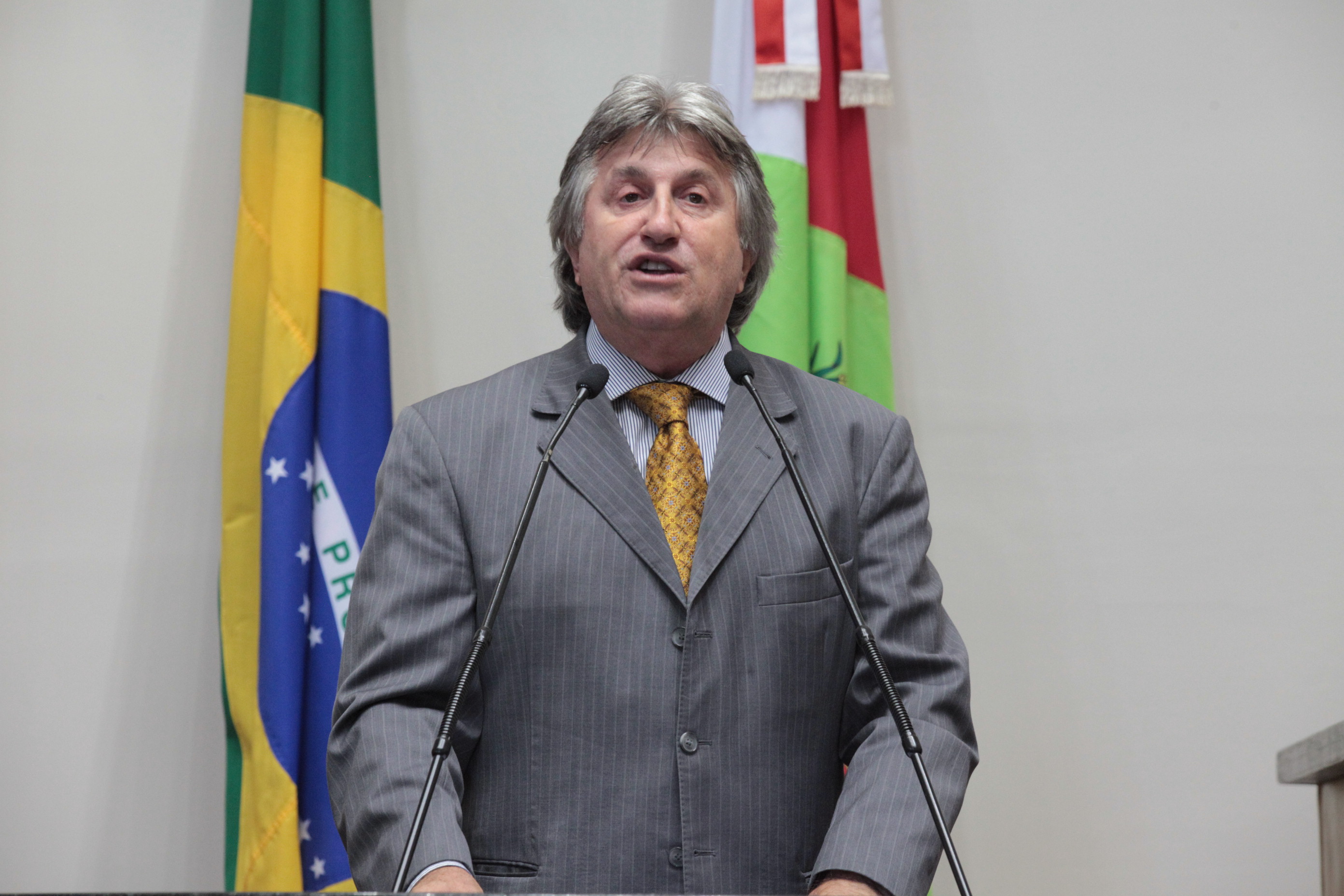 Sessão Ordinária. Deputado Leonel Pavan (PSDB)