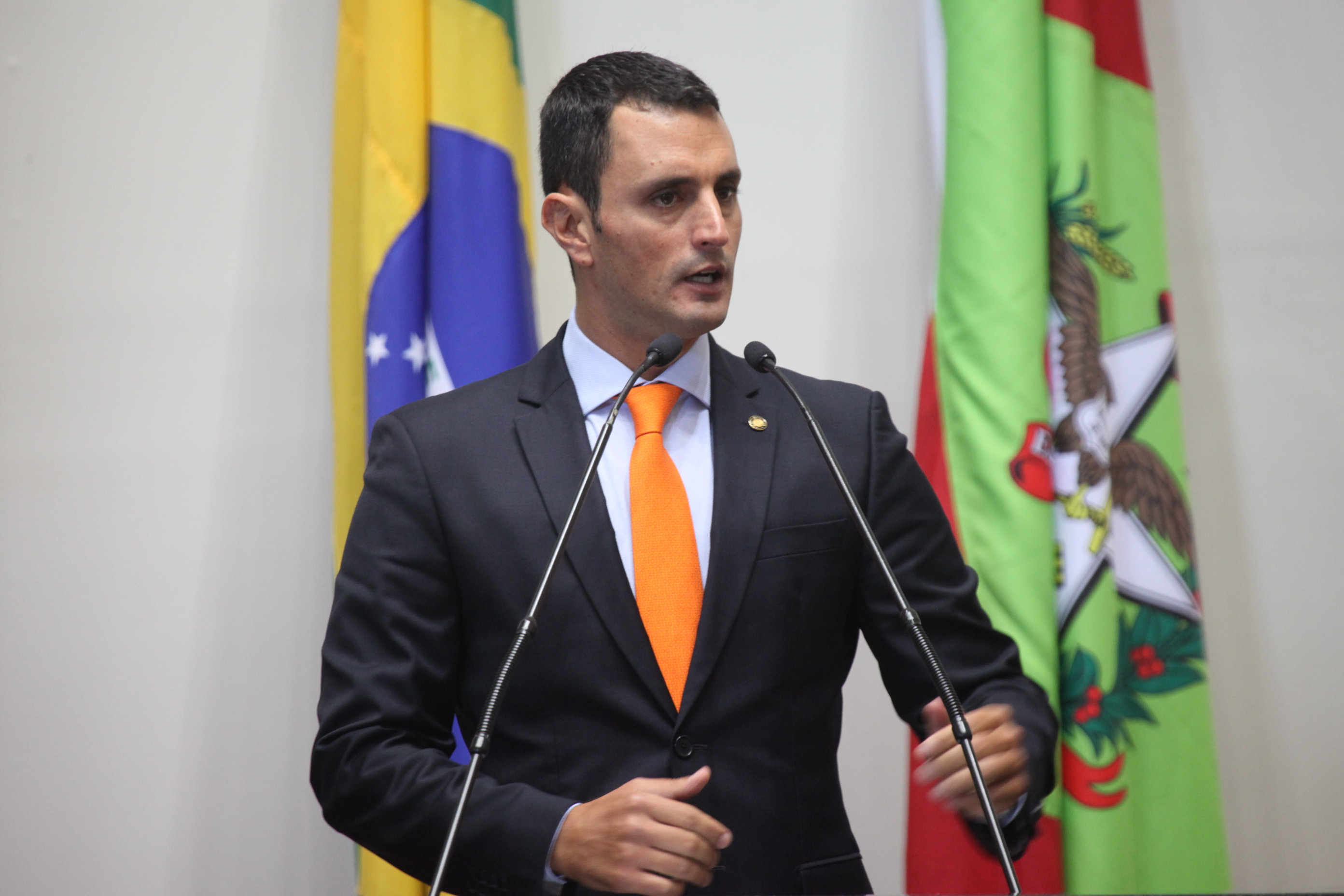 Sessão Ordinária. Deputado João Amin (PP)