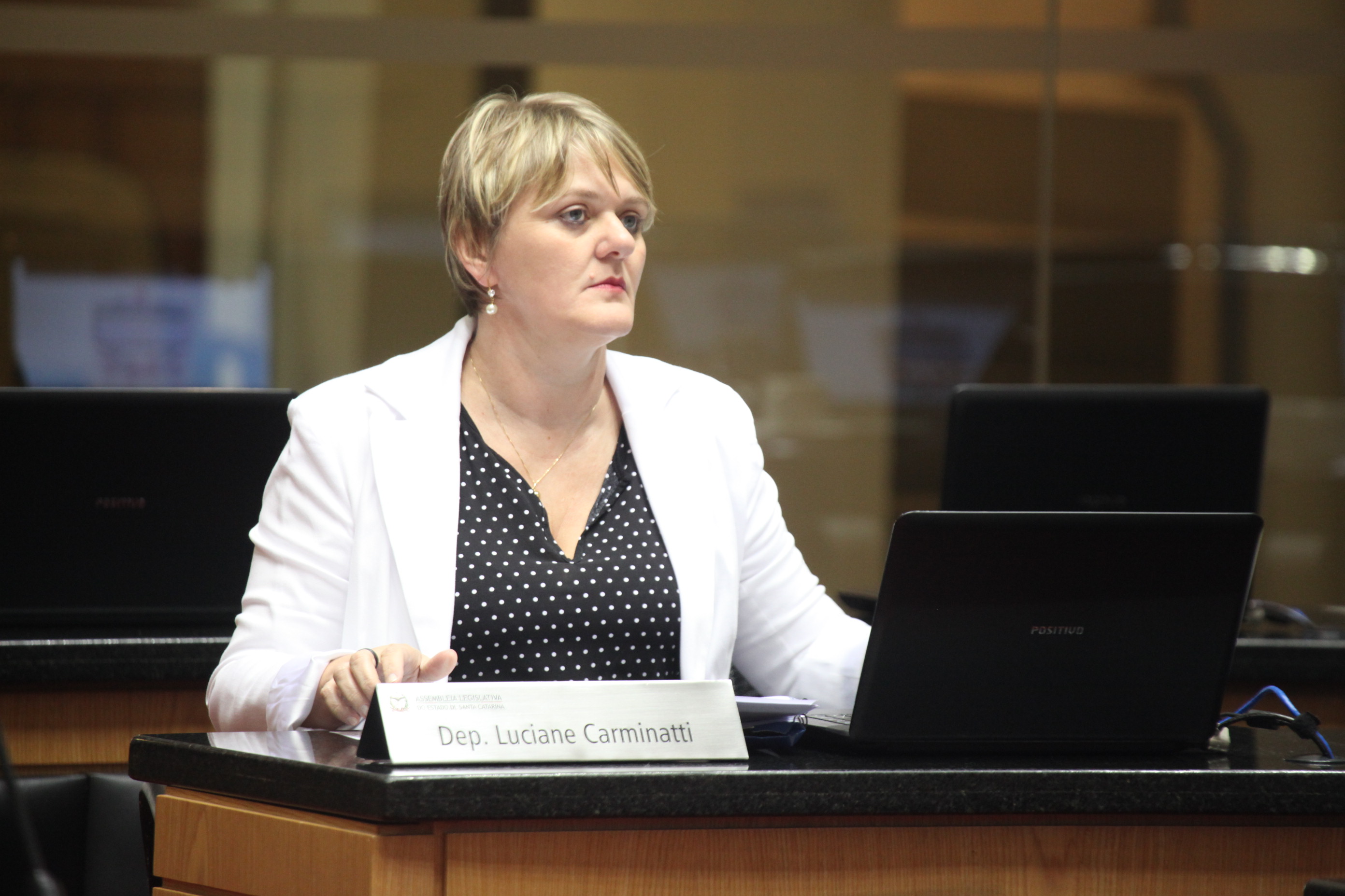 Sessão Ordinária. Deputada Luciane Carminatti (PT)