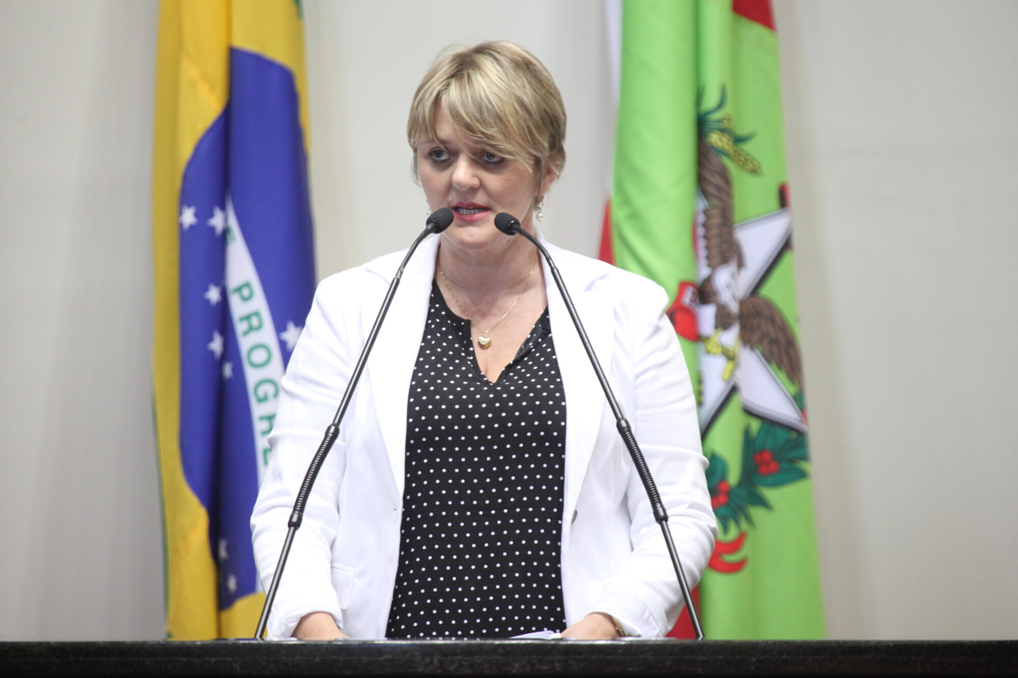 Deputada Luciane Carminatti