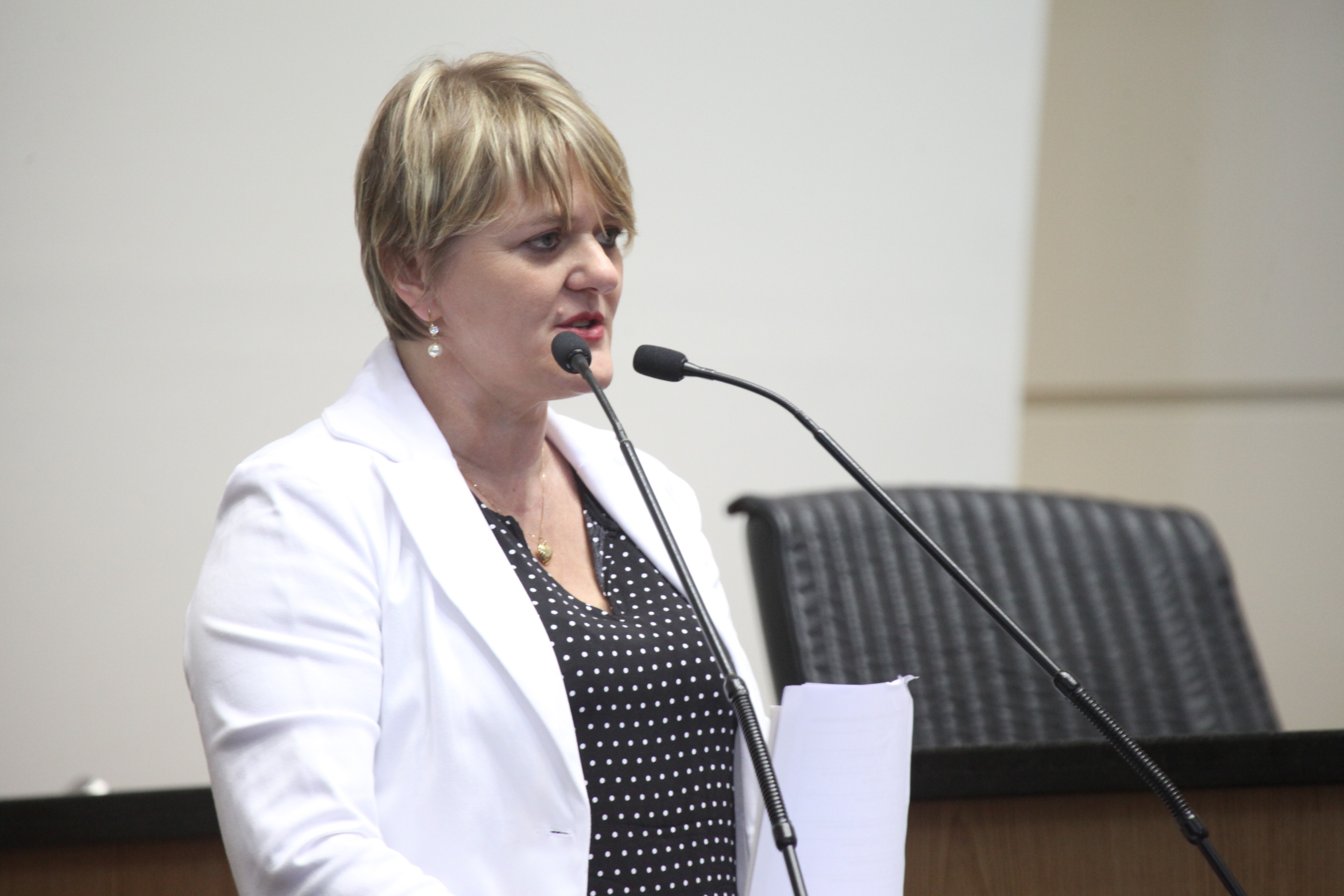 Sessão Ordinária. Deputada Luciane Carminatti (PT)