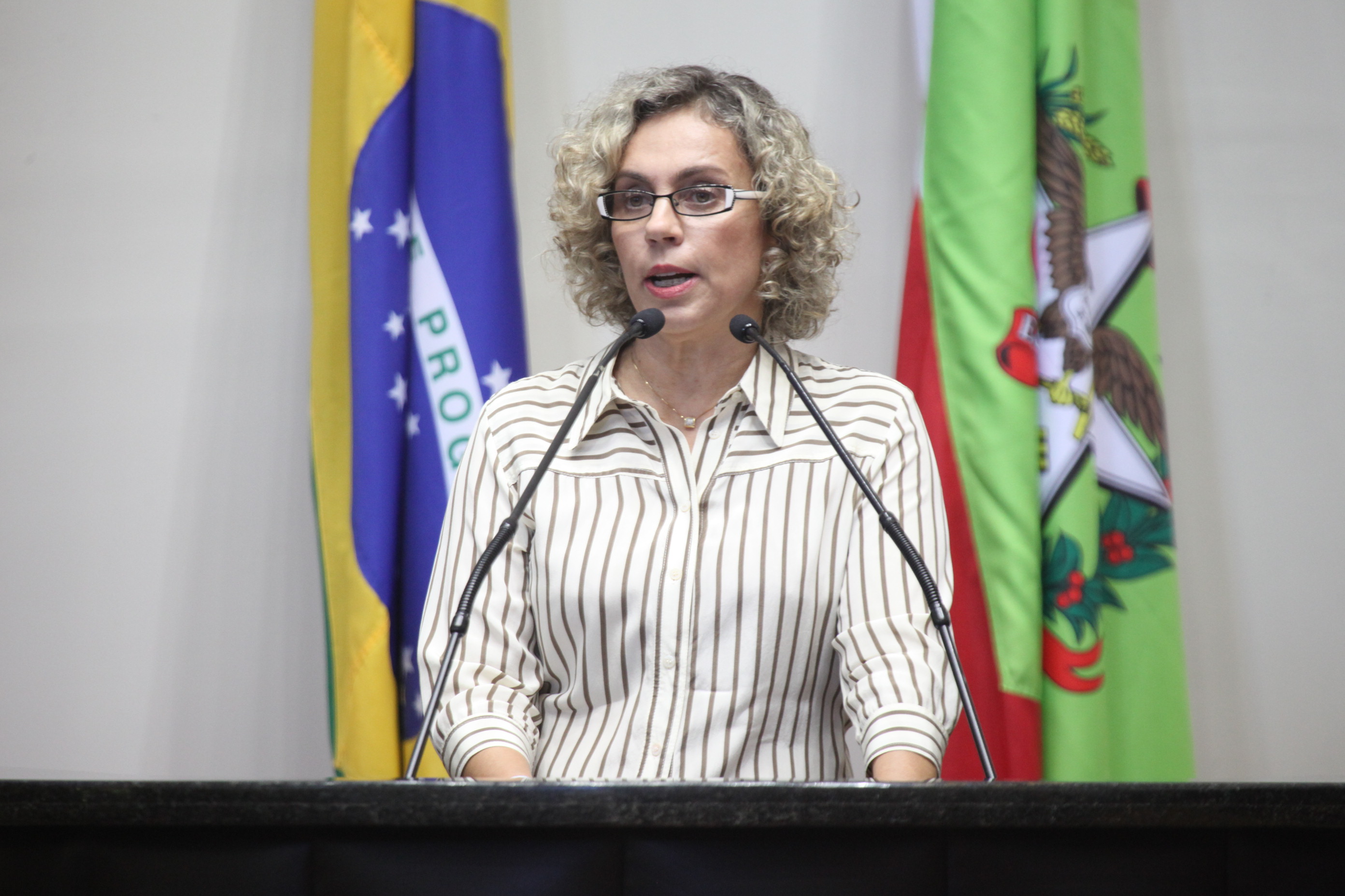 Sessão Ordinária. Deputada Ana Paula Lima (PT)
