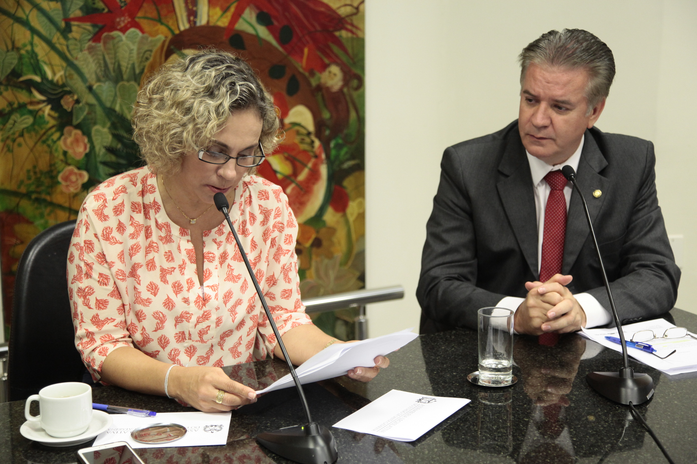 Reunião de instalação da Comissão de Saúde.