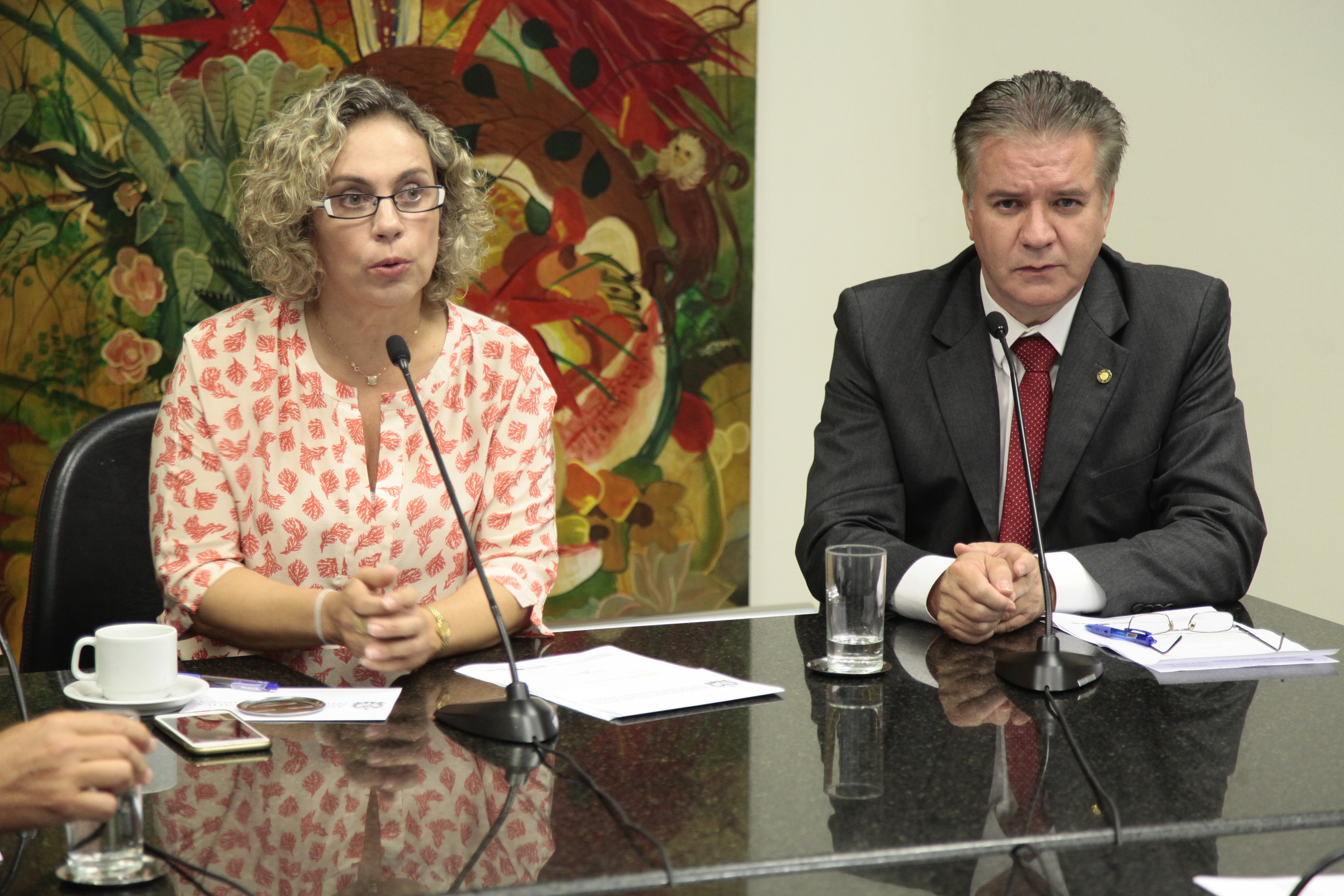 Reunião de instalação da Comissão de Saúde.