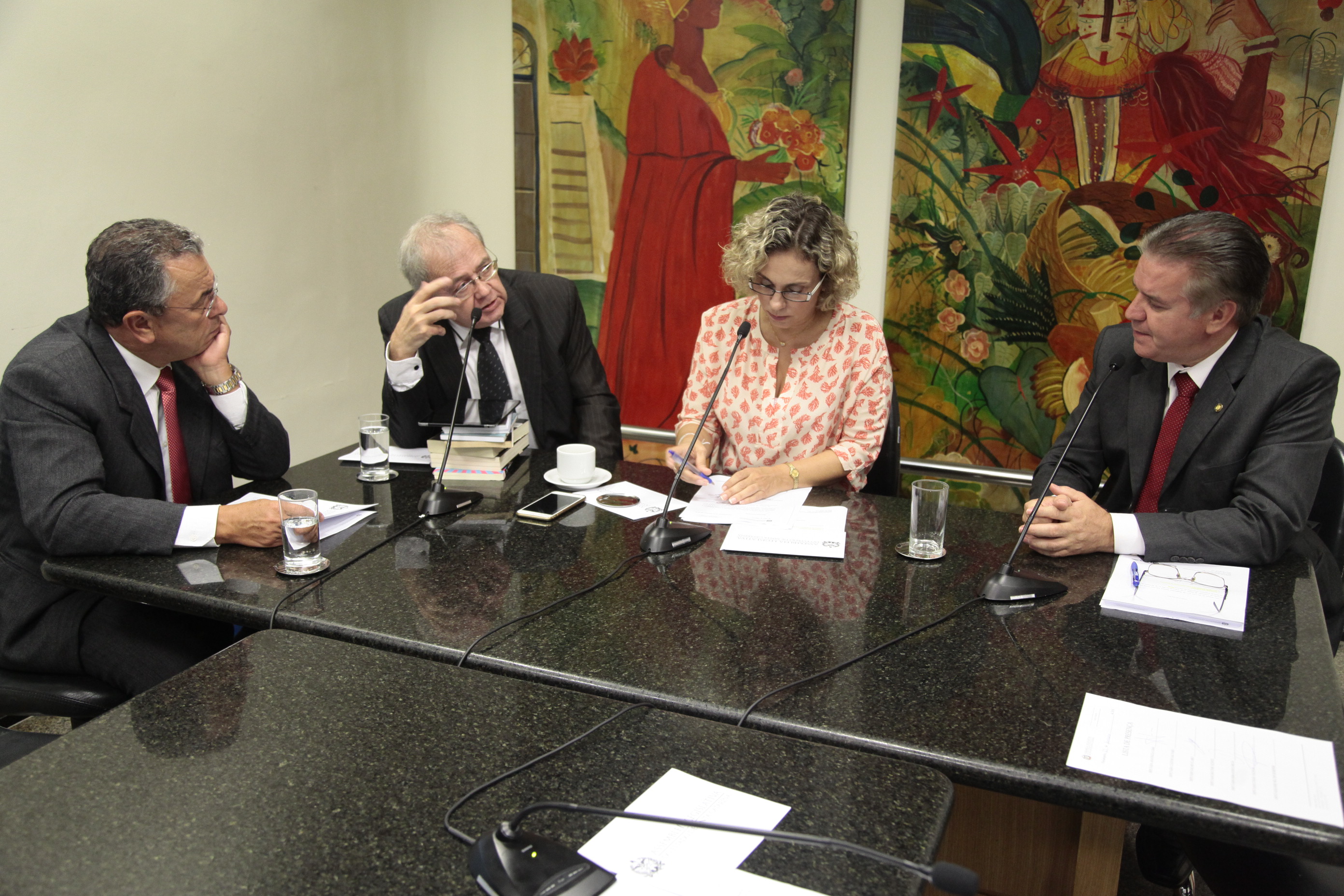 Reunião de instalação da Comissão de Saúde.