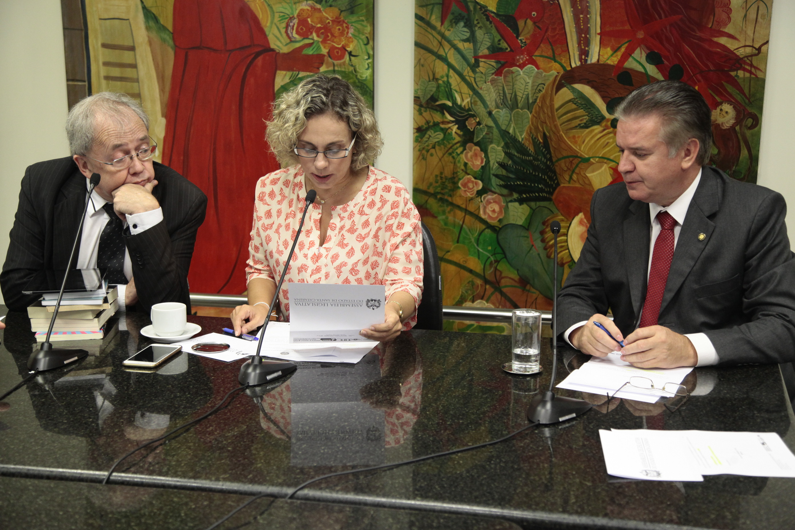 Reunião de instalação da Comissão de Saúde.