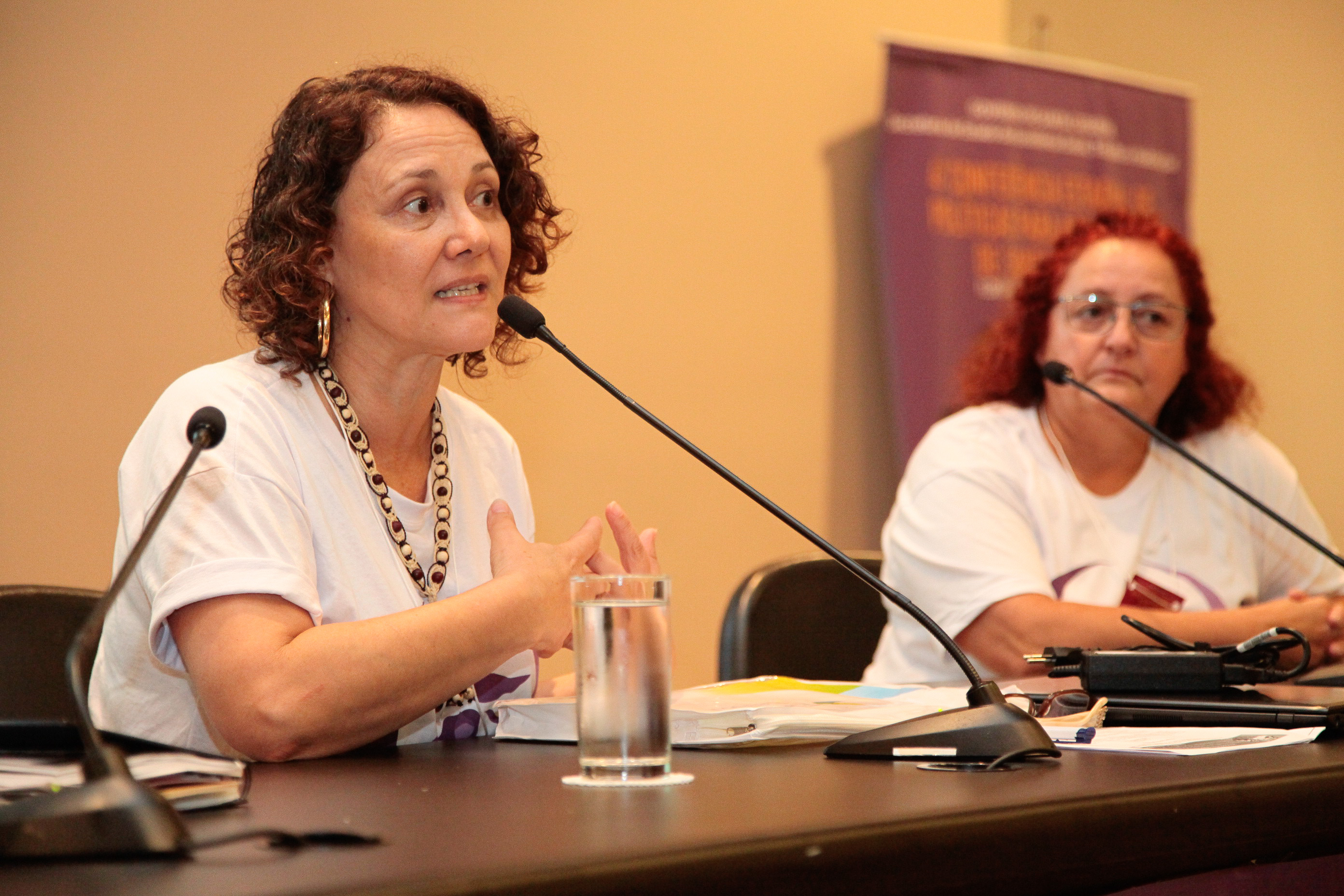 4ª Conferência Estadual de Políticas para as Mulheres. Presidenta do Cedim, Sheila Sabag,
