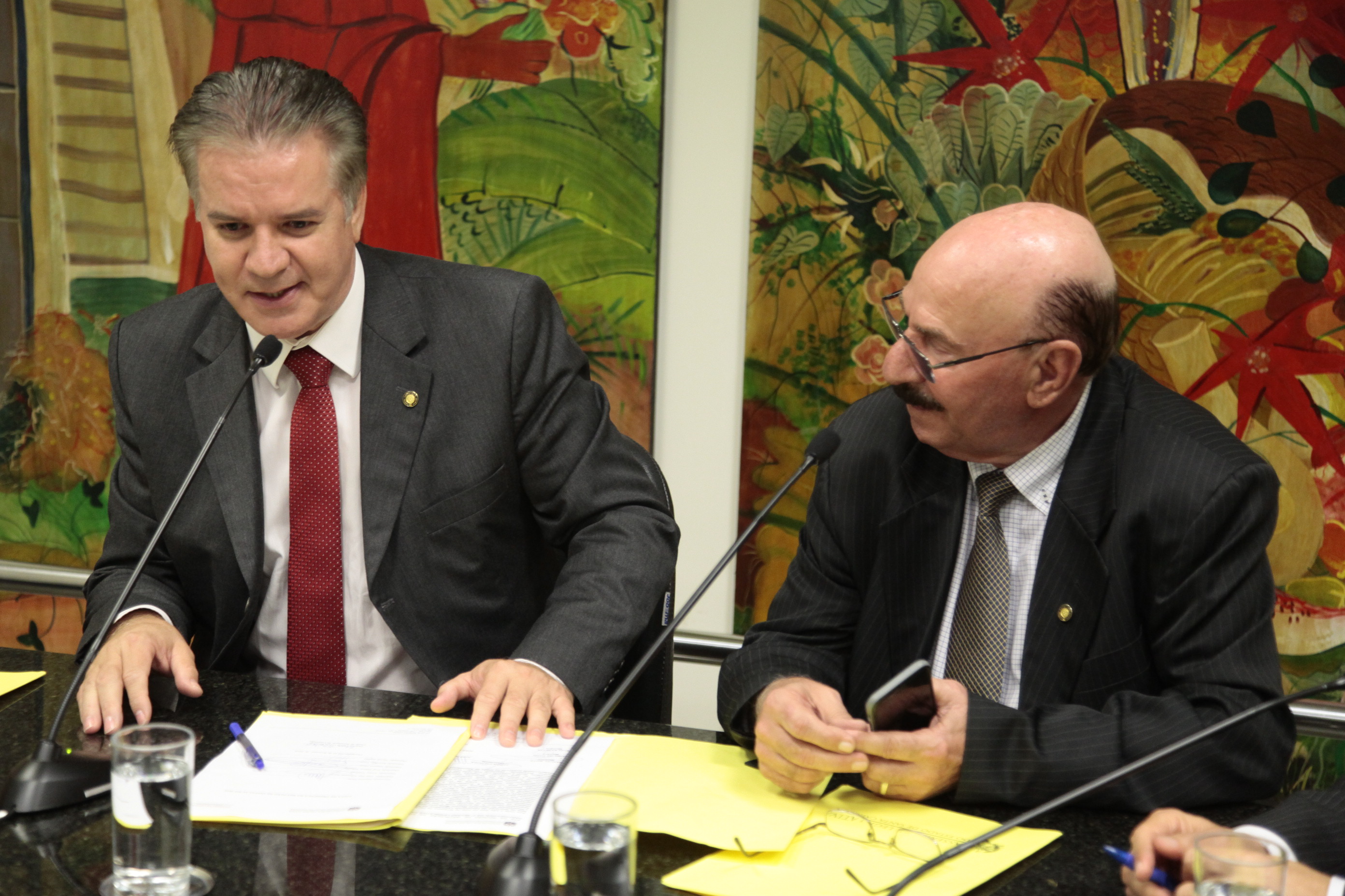 Reunião de instalação da Comissão de Legislação Participativa.