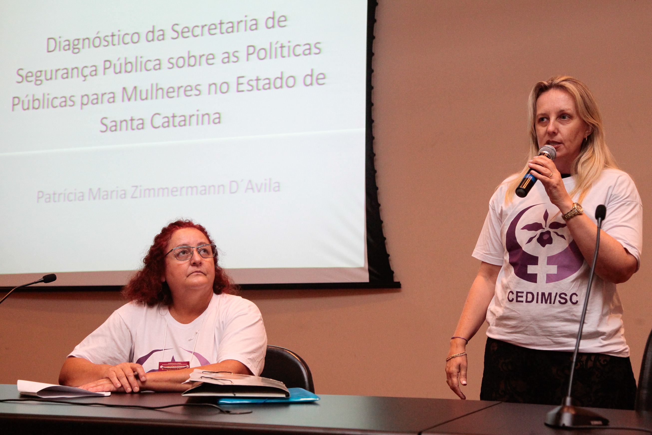 4ª Conferência Estadual de Políticas para as Mulheres. Patricia Maria Zimmermann D`Avila.