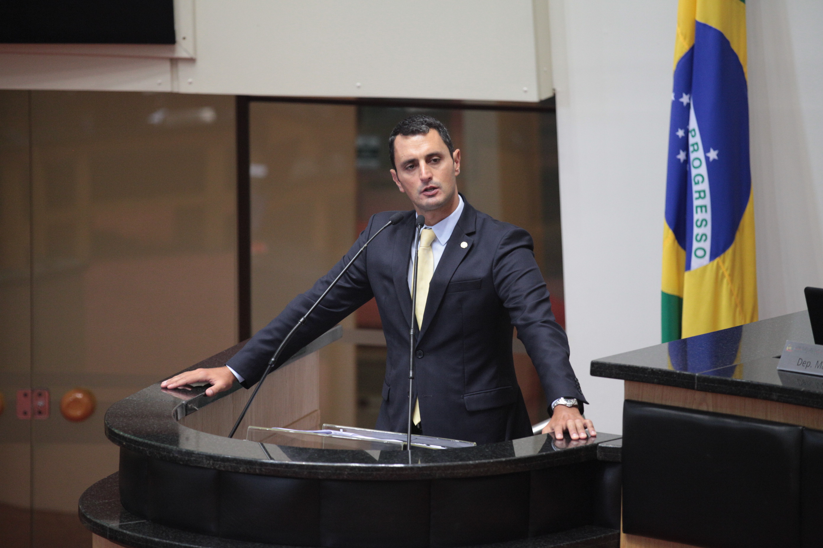 Sessão Ordinária. Deputado João Amin (PP)
