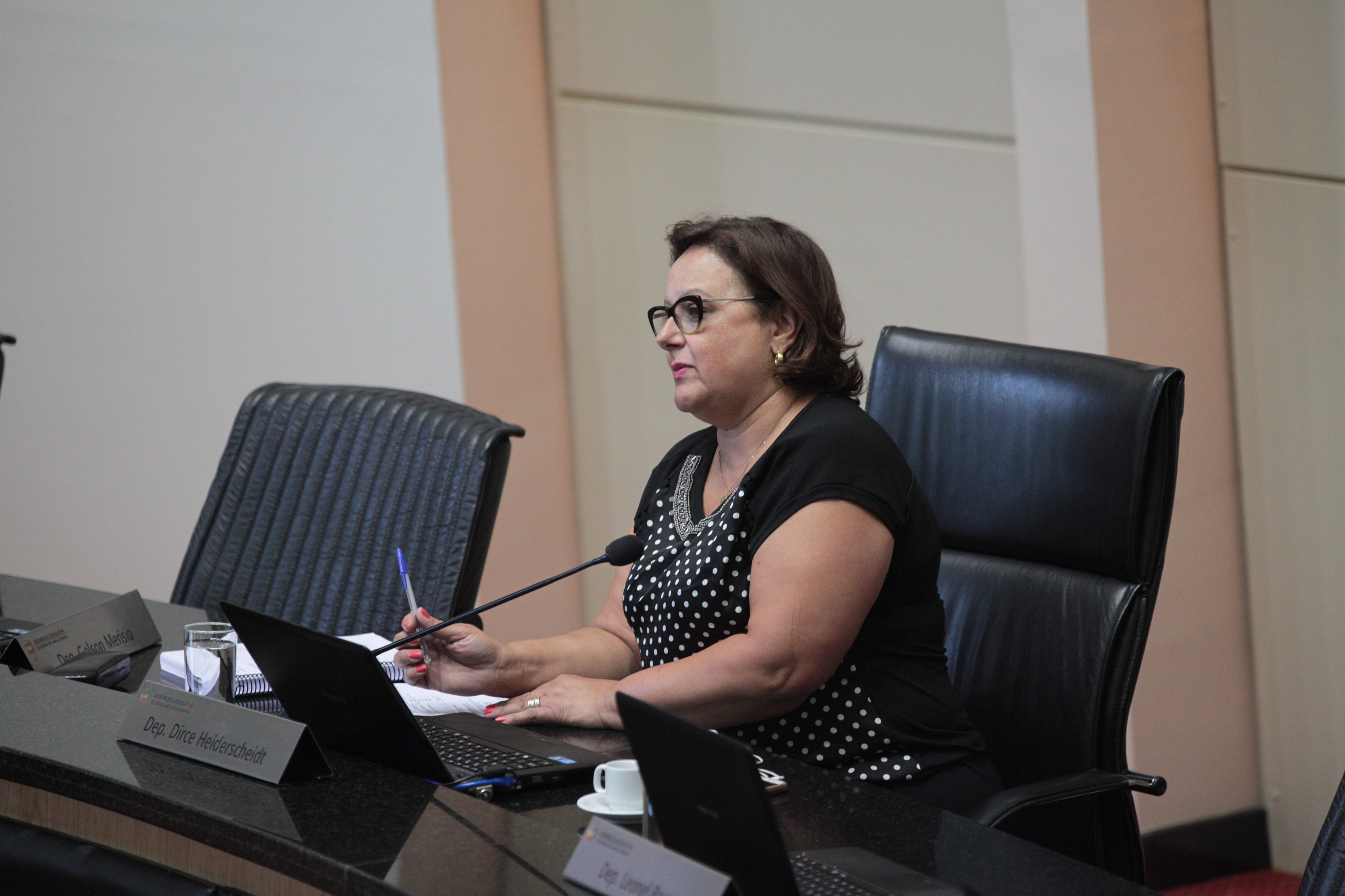 Sessão Ordinária. Deputada Dirce Heiderscheidt (PMDB)