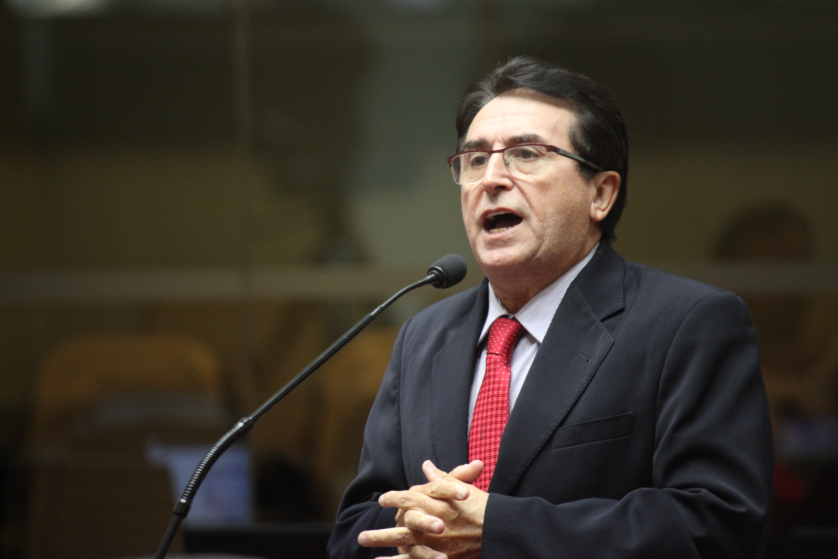 Sessão Ordinária. Foto: Fábio Queiroz / Agência AL