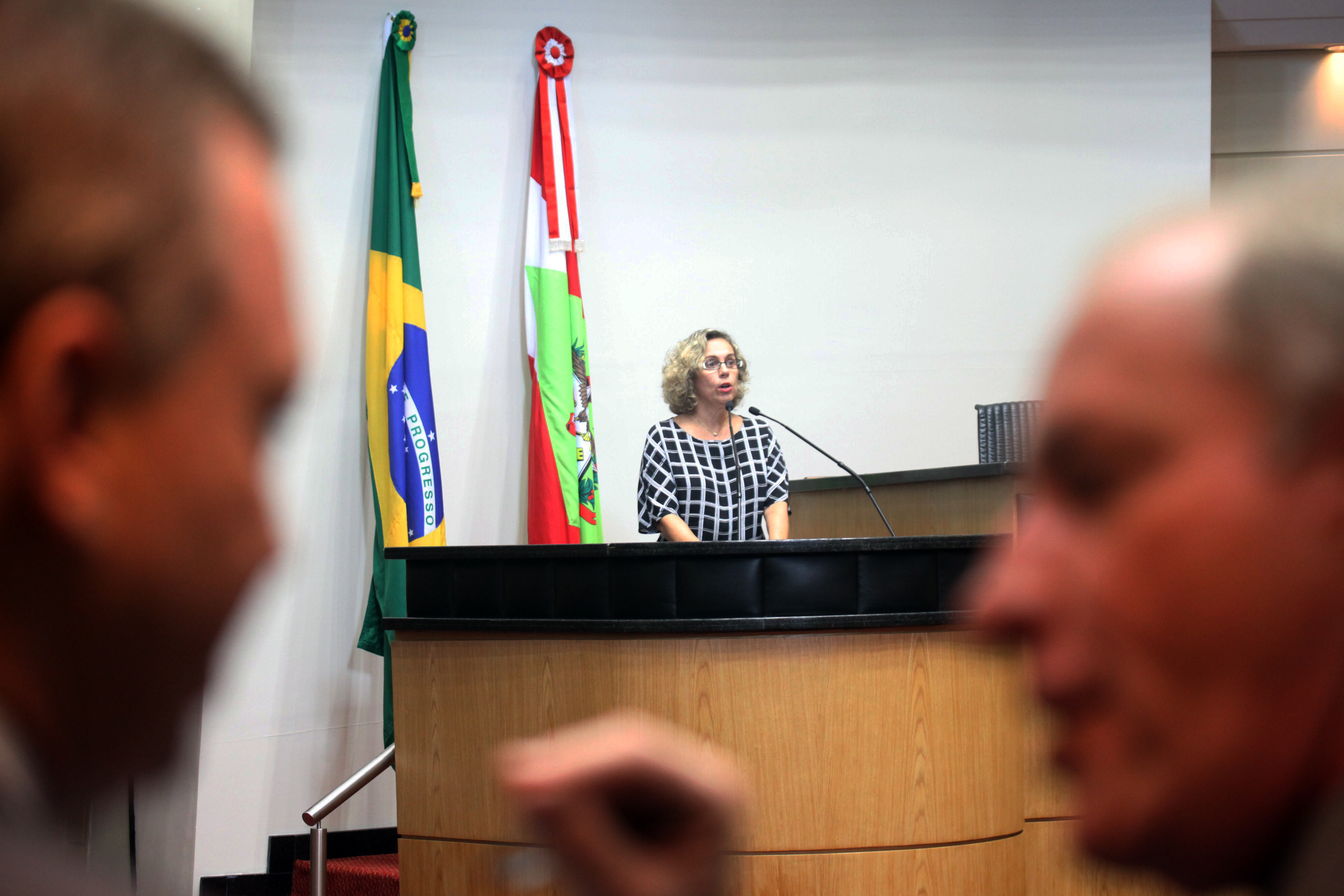 Sessão Ordinária. Foto: Fábio Queiroz / Agência AL