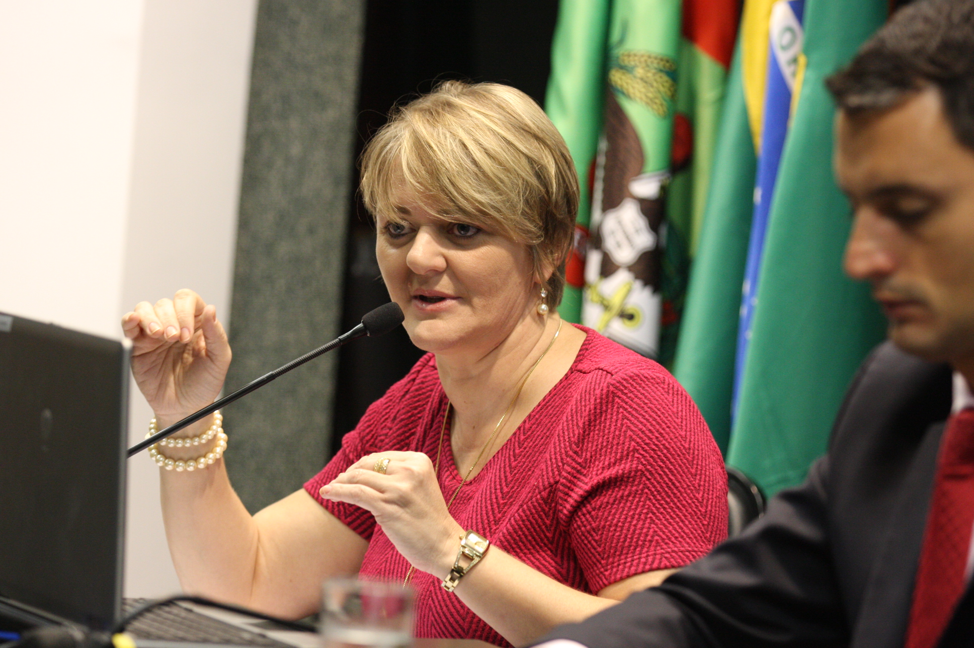 Extraordinária CCJ. Deputada Luciane Carminatti (PT). Foto: Yuri Santos / Agência AL