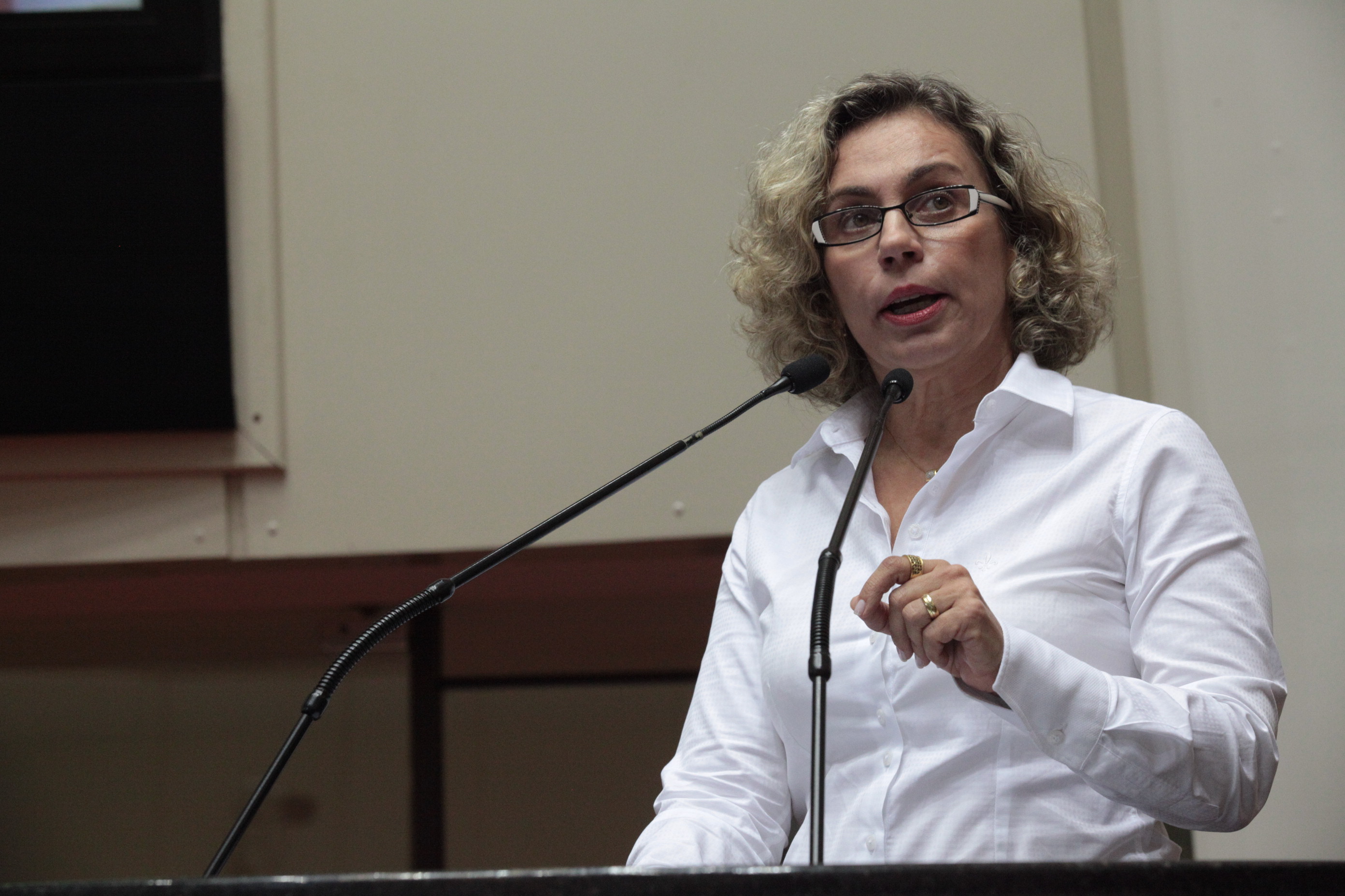 Sessão Ordinária. Deputada Ana Paula Lima (PT)