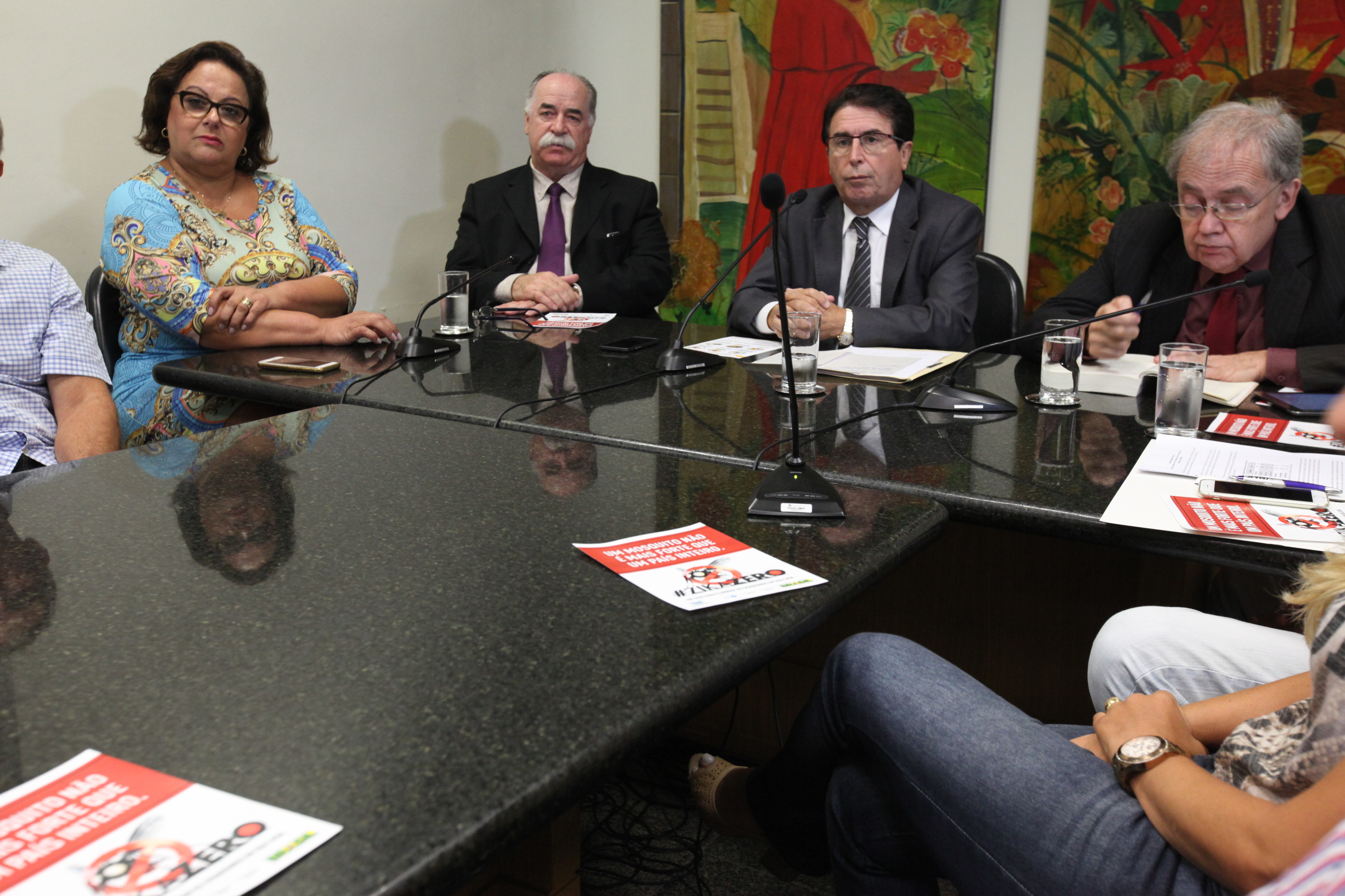 Frente Parlamentar de Apoio aos Projetos de Combate à Dengue, Chikungunya e Zika. Foto: Eduardo Guedes de Oliveira / Agência AL