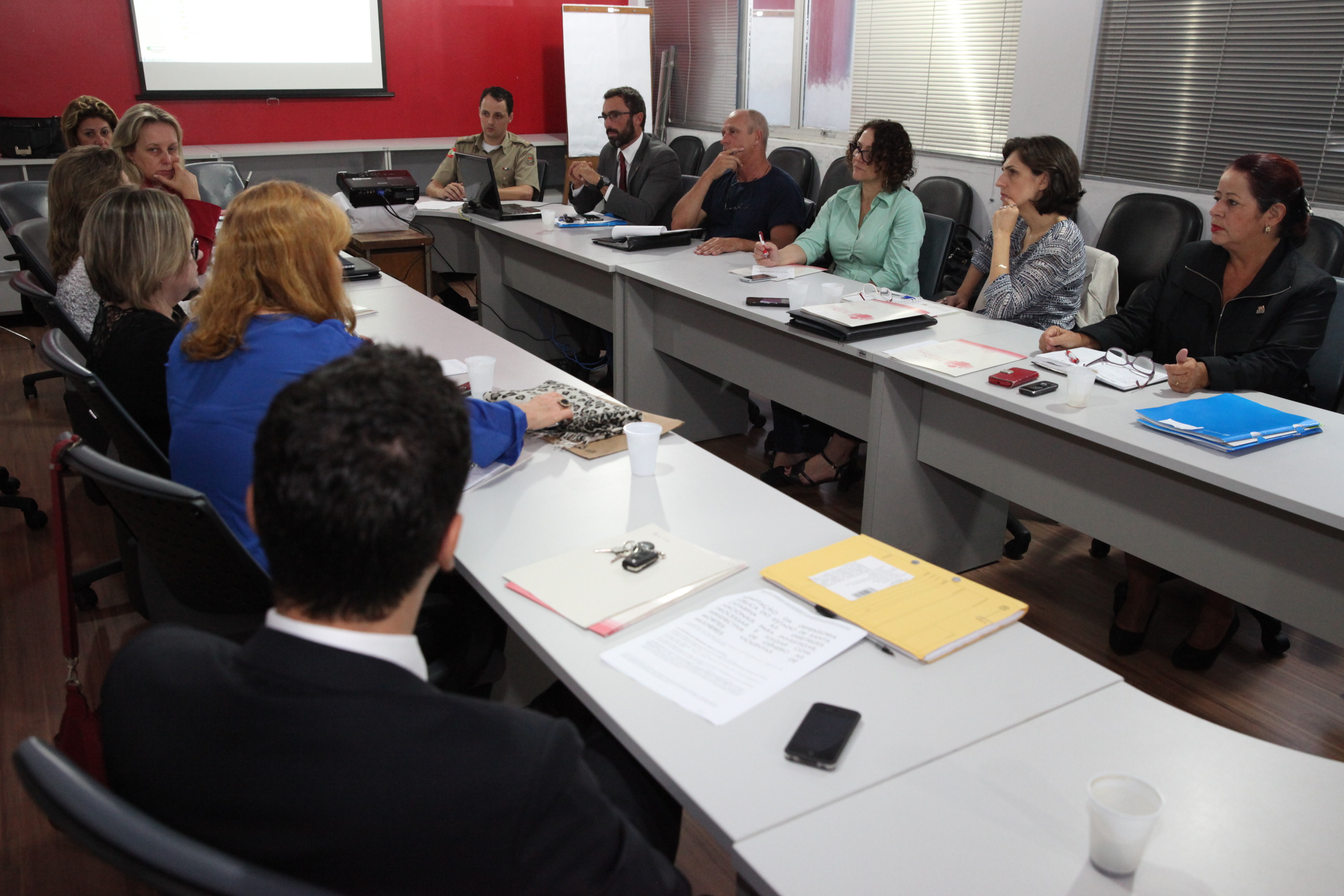 Diretrizes Nacionais de Combate à Violência Contra a Mulher