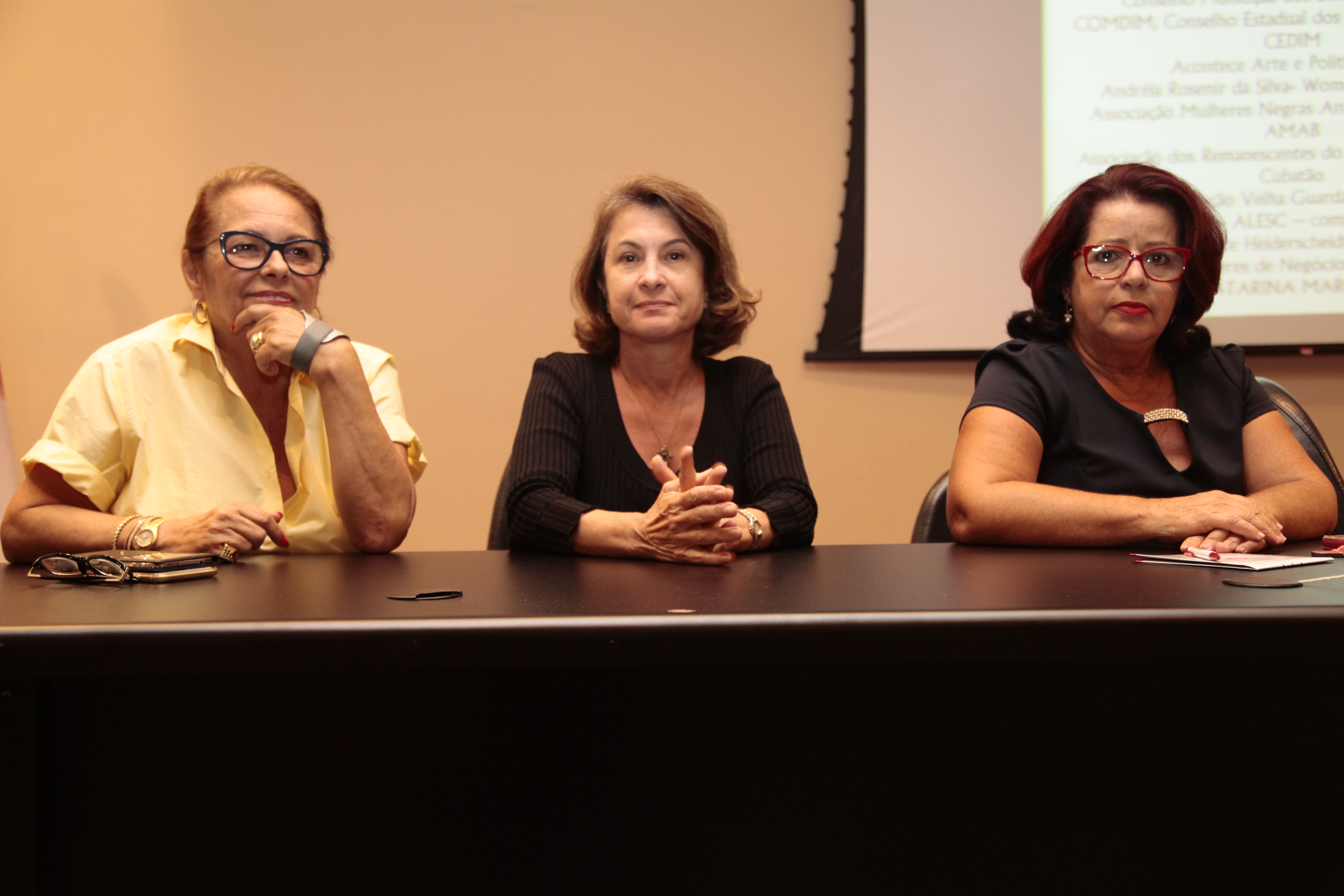 Ato em Comemoração ao Dia Internacional da Mulher - O Empoderamento da Mulher Catarinense.