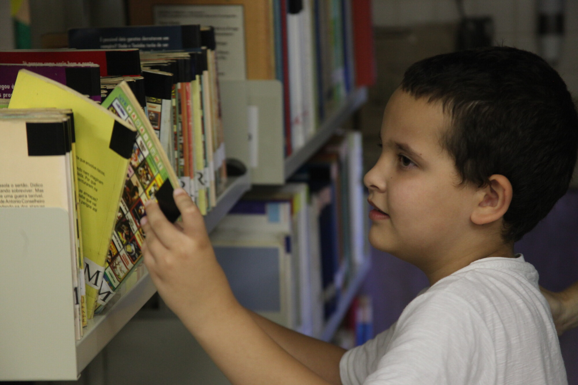 Biblioteca Pública de SC promove projeto para troca de livros
