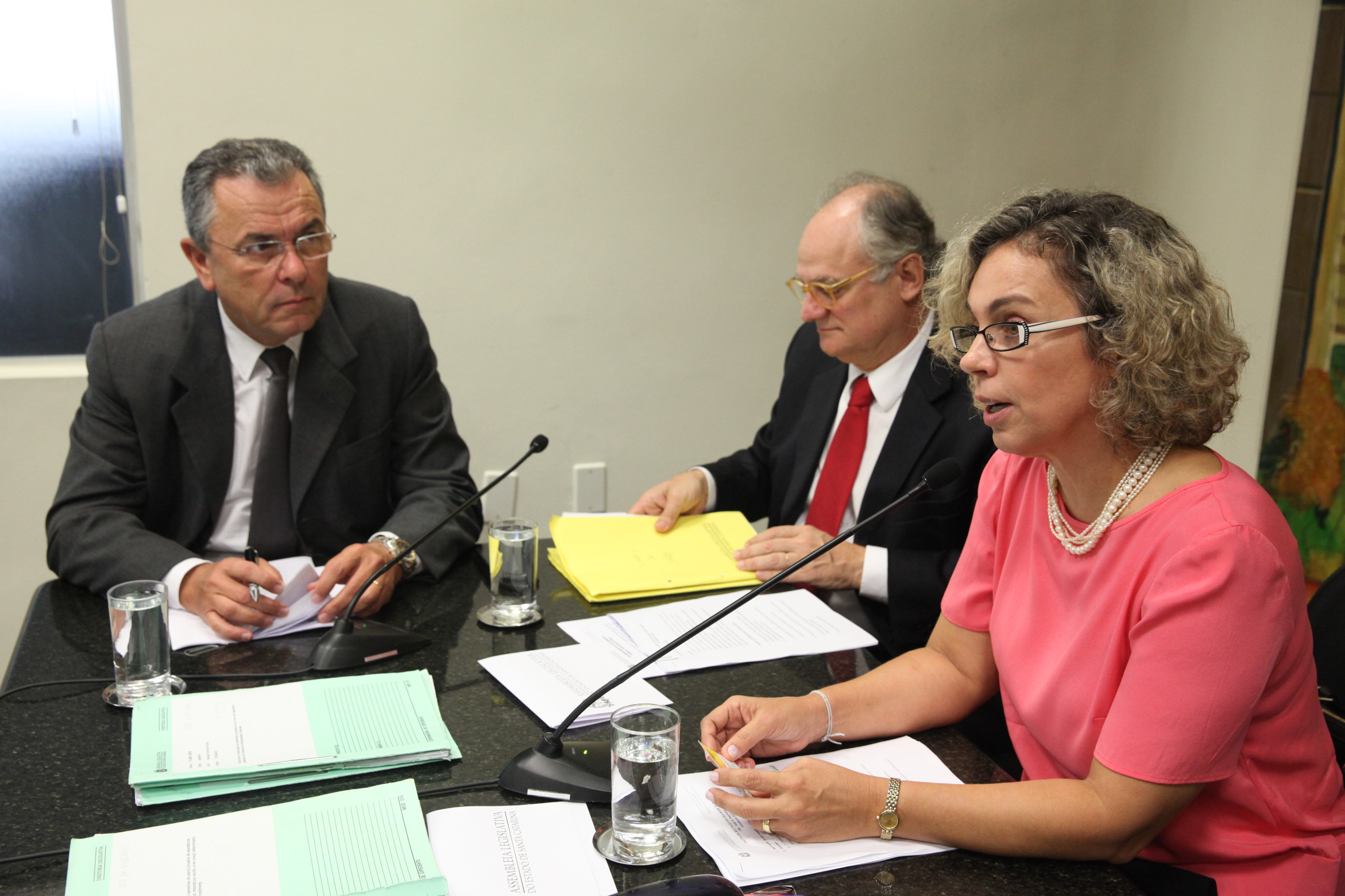 Comissão de Saúde. Deputada Ana Paula Lima (PT). Eduardo Guedes / Agência AL
