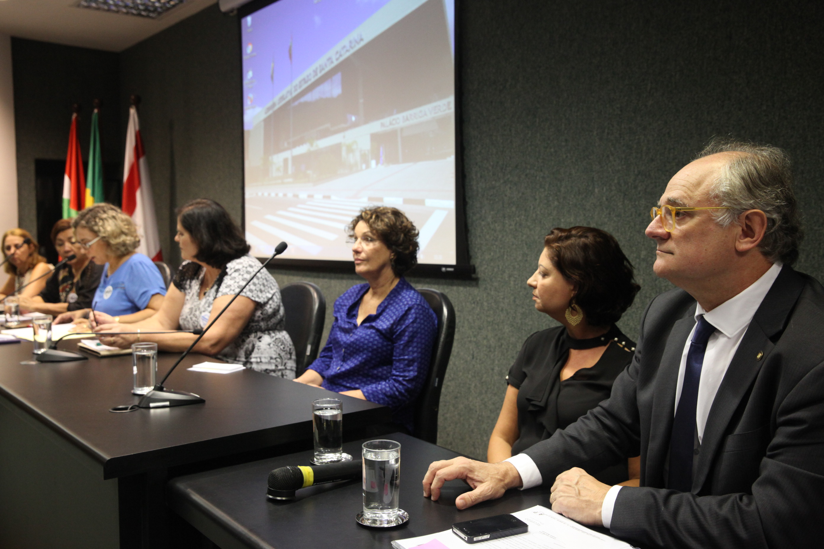 Audiência Pública - Formação por EAD. Foto: Eduardo Guedes / Agência AL